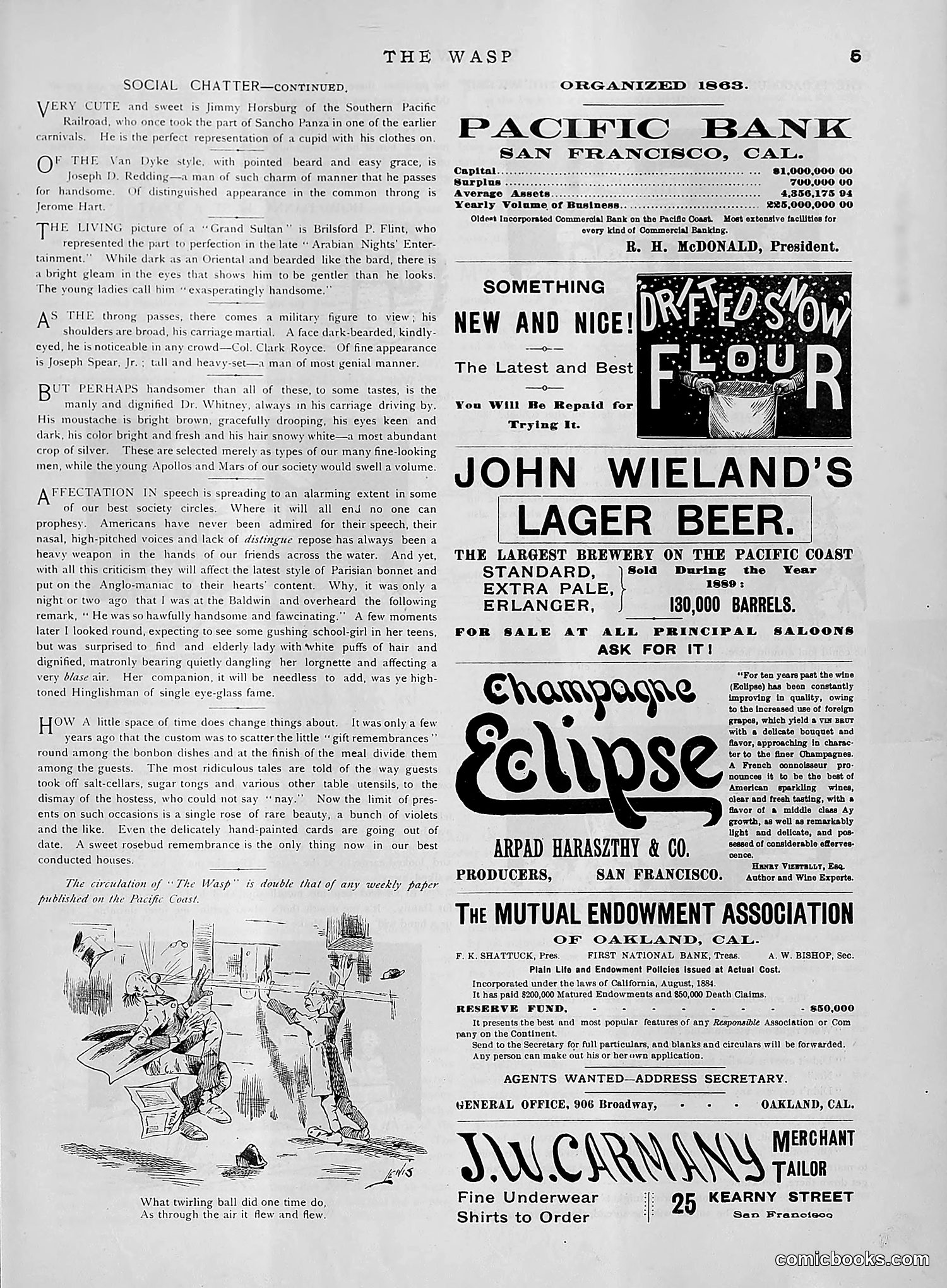 The Wasp — 1891 — page 368 of 612