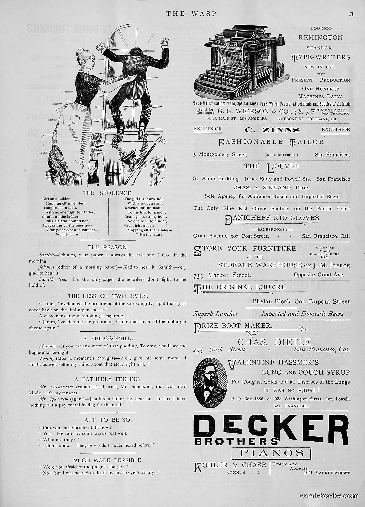 The Wasp — 1891 — page 38 of 612