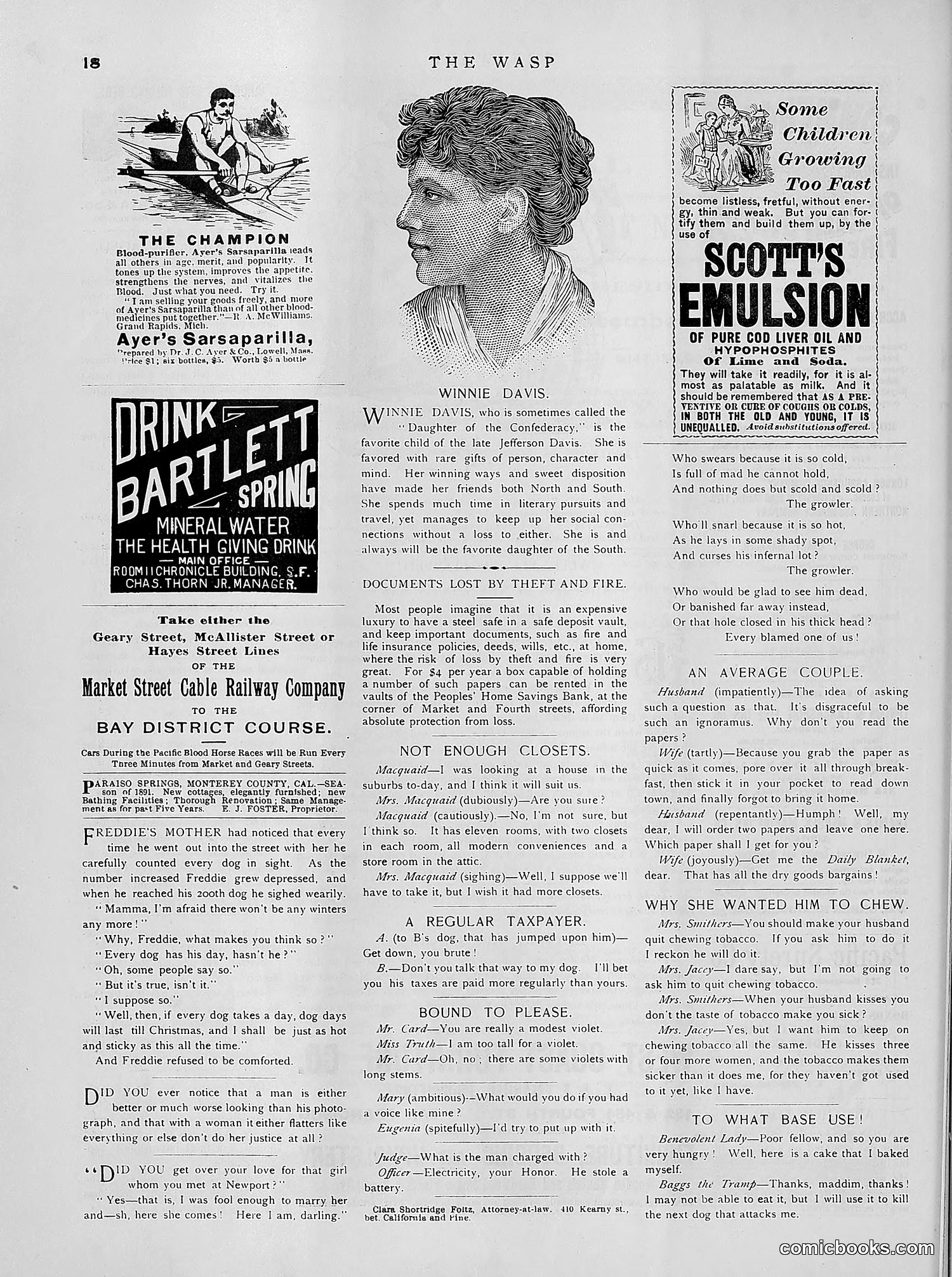 The Wasp — 1891 — page 381 of 612