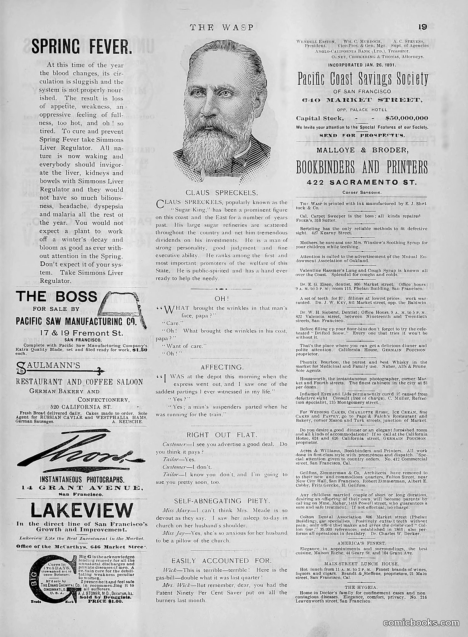 The Wasp — 1891 — page 382 of 612