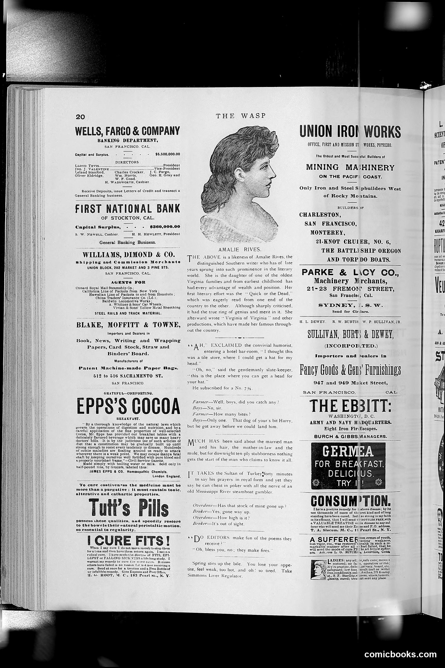 The Wasp — 1891 — page 383 of 612