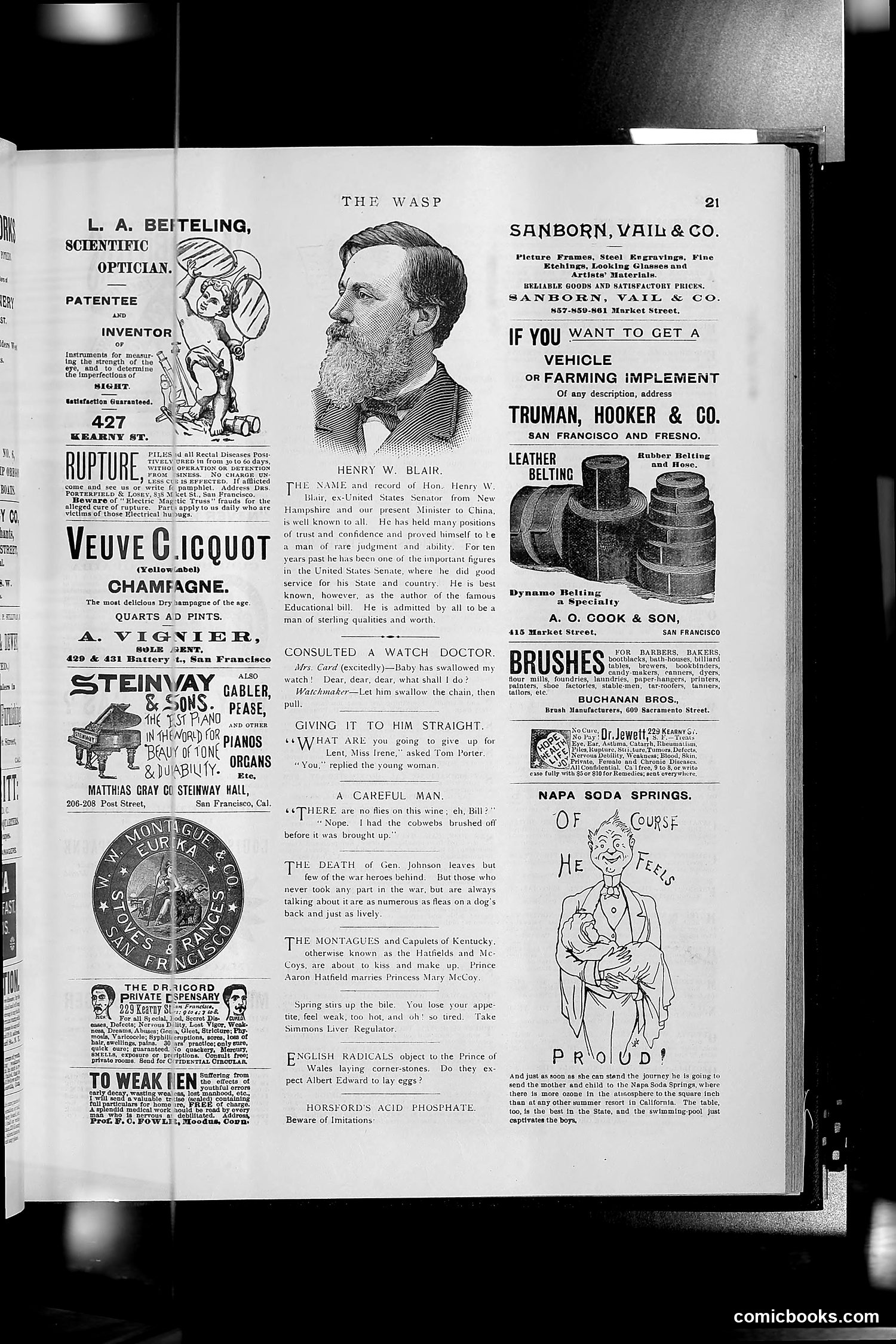 The Wasp — 1891 — page 384 of 612