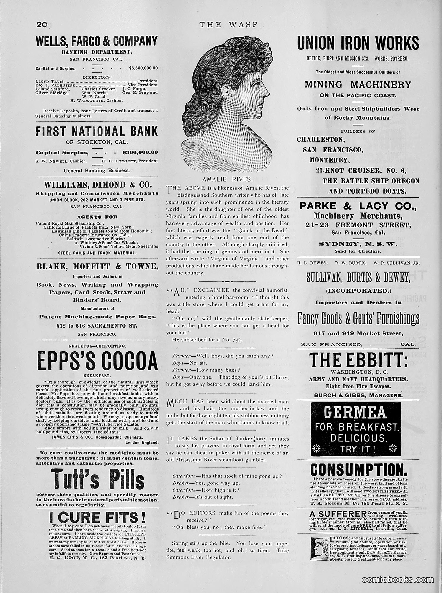 The Wasp — 1891 — page 385 of 612