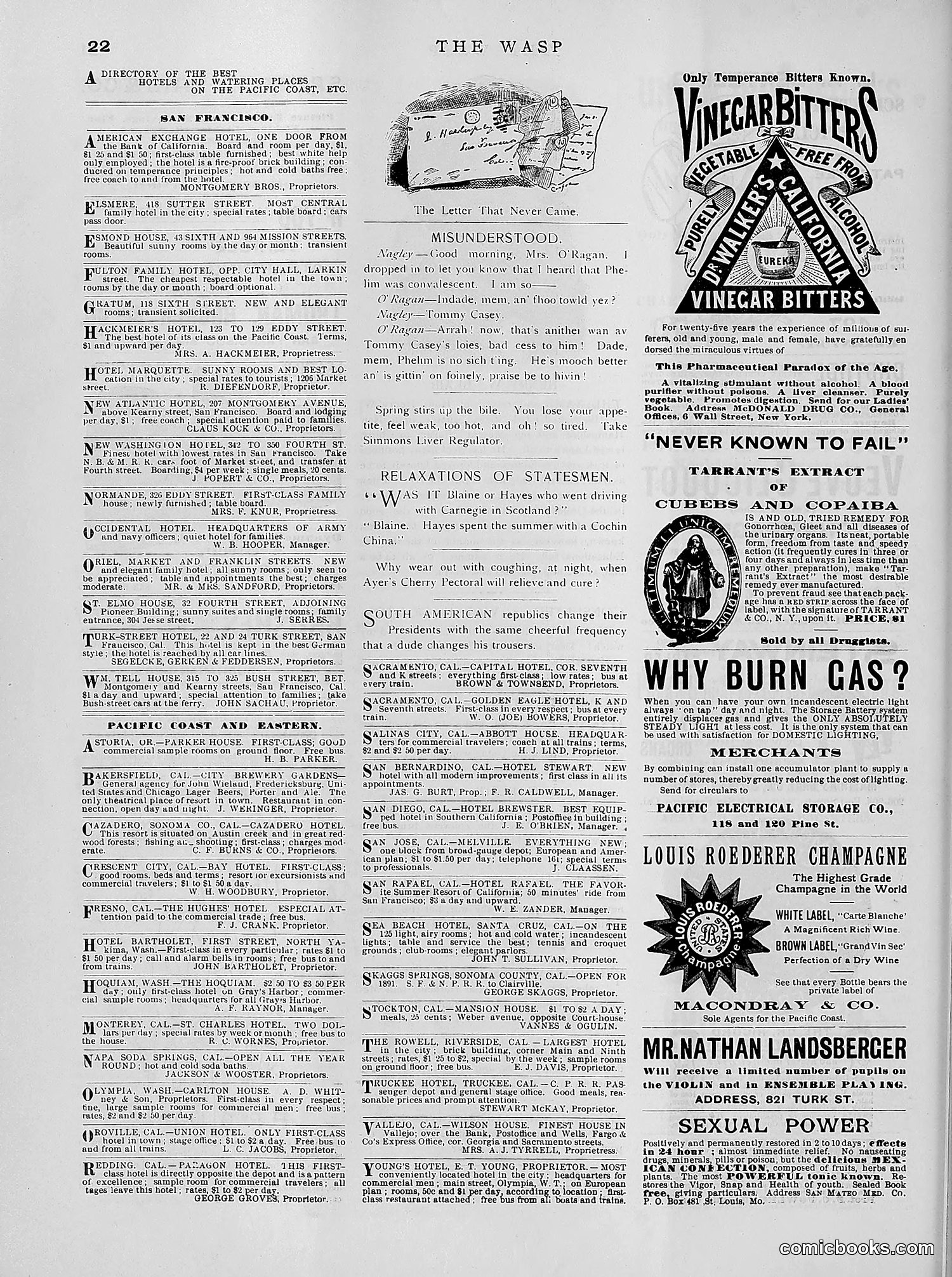 The Wasp — 1891 — page 387 of 612