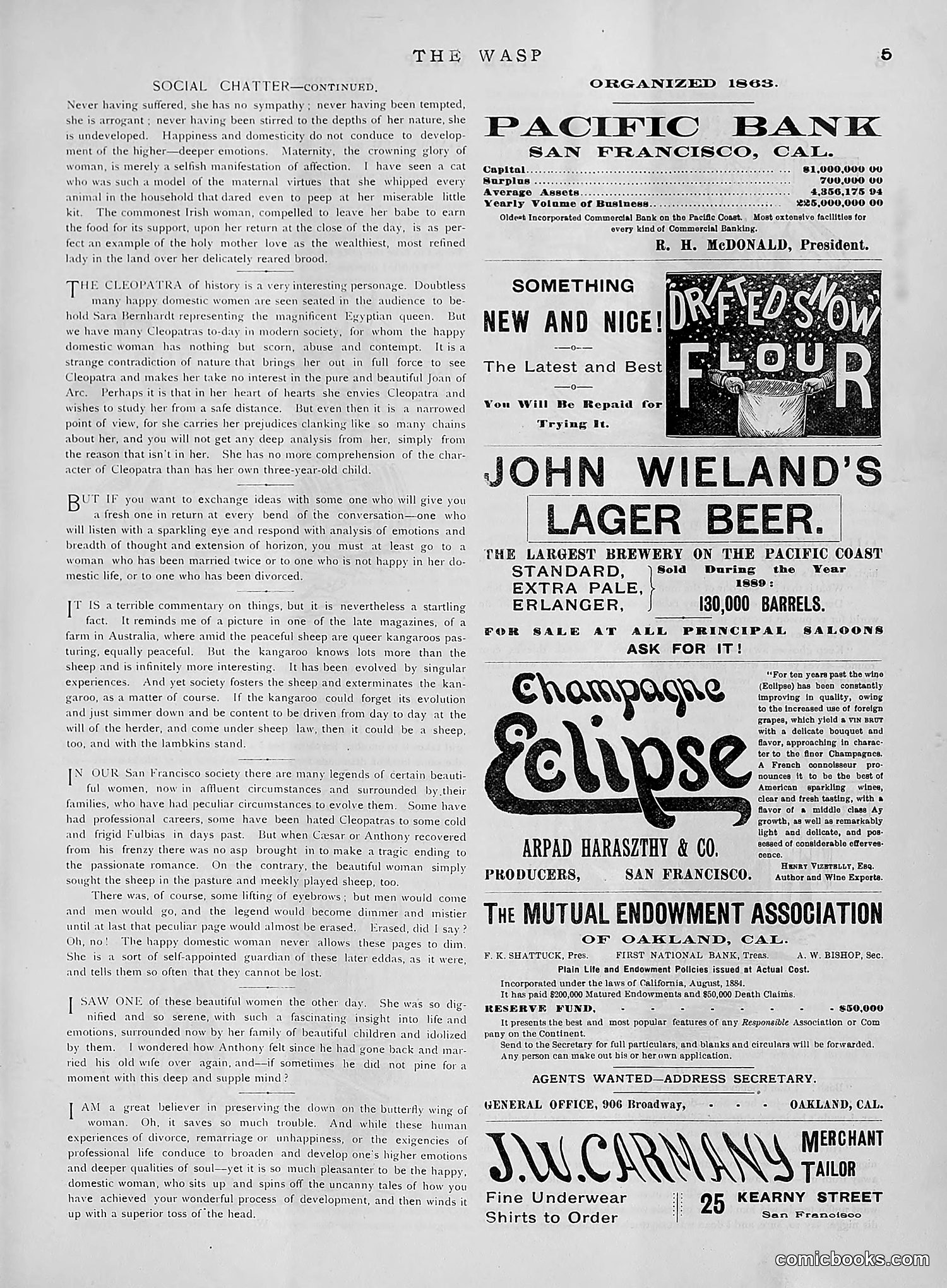The Wasp — 1891 — page 394 of 612