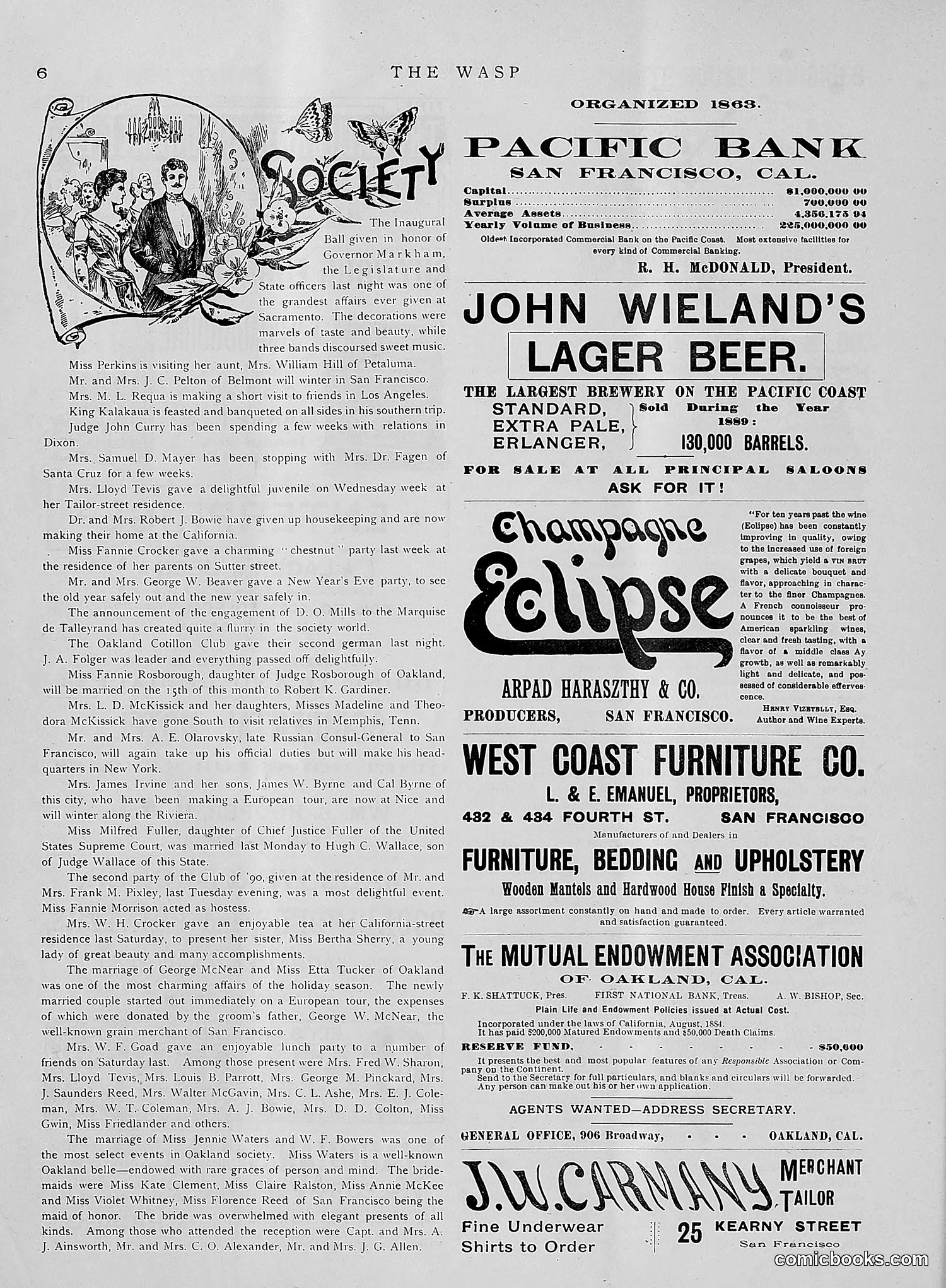 The Wasp — 1891 — page 41 of 612