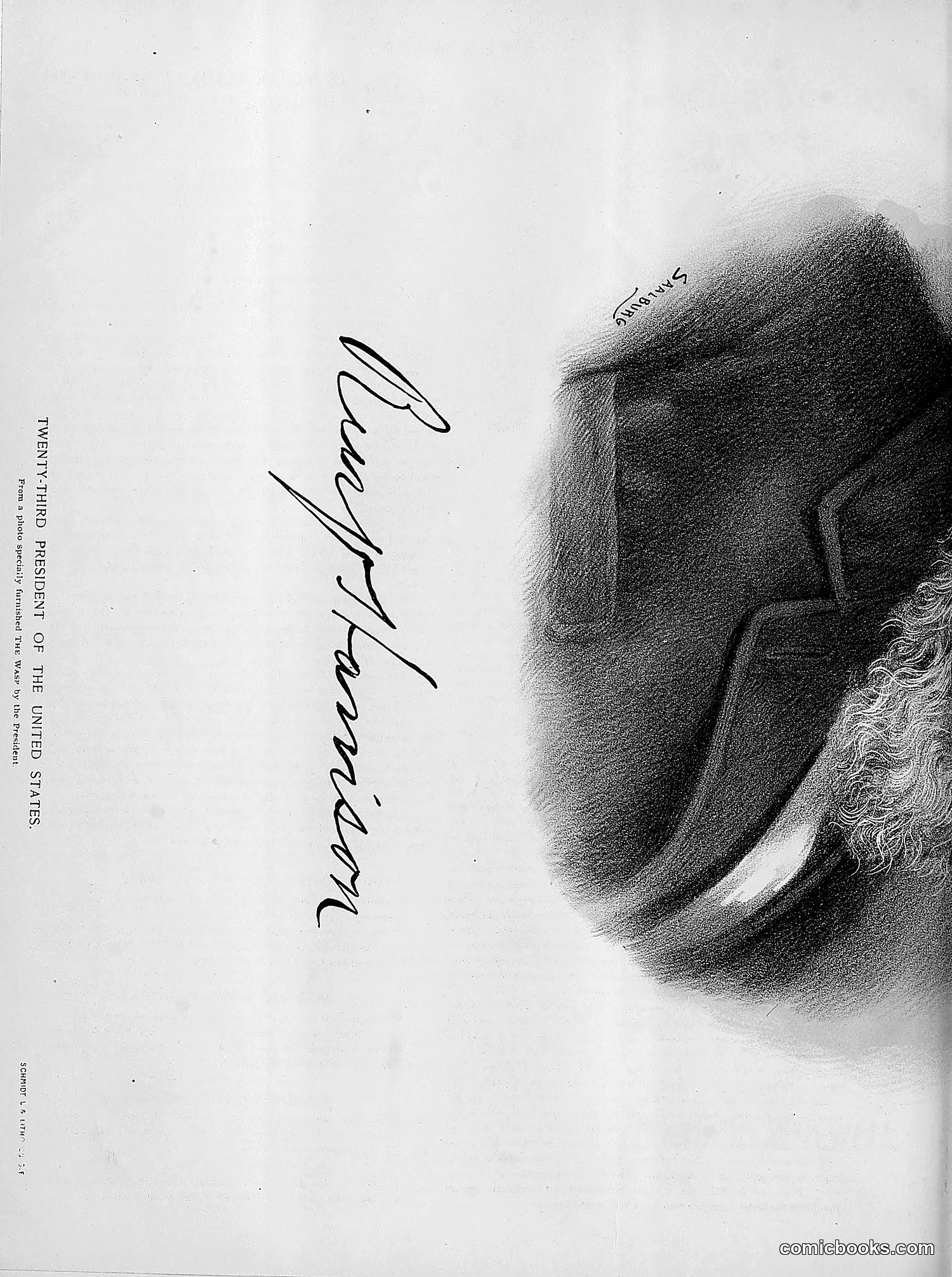 The Wasp — 1891 — page 401 of 612