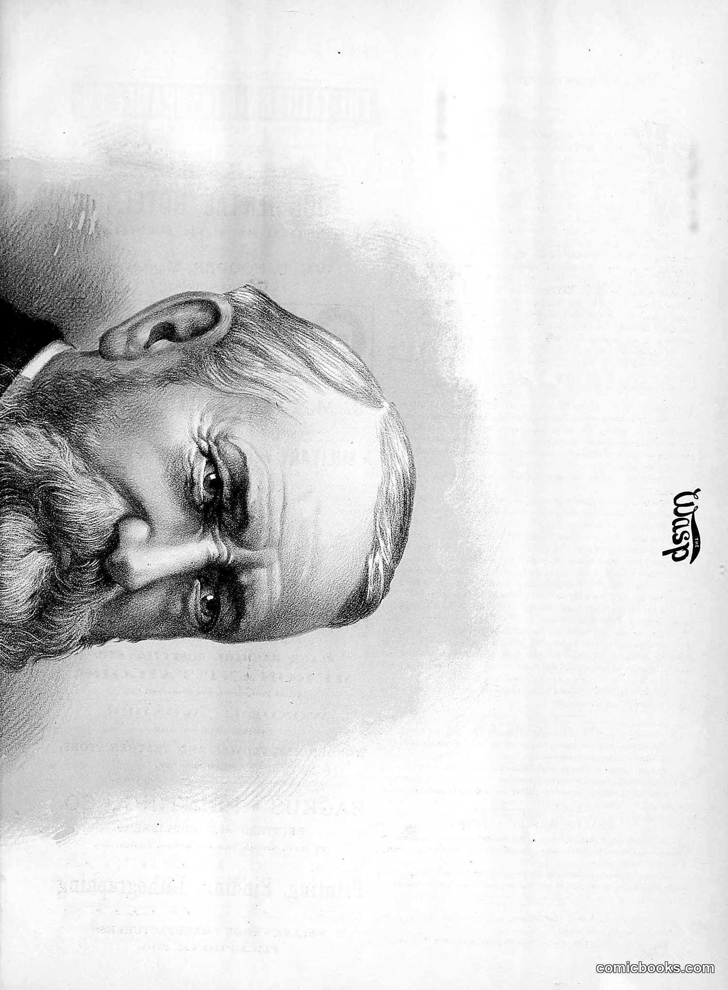 The Wasp — 1891 — page 402 of 612
