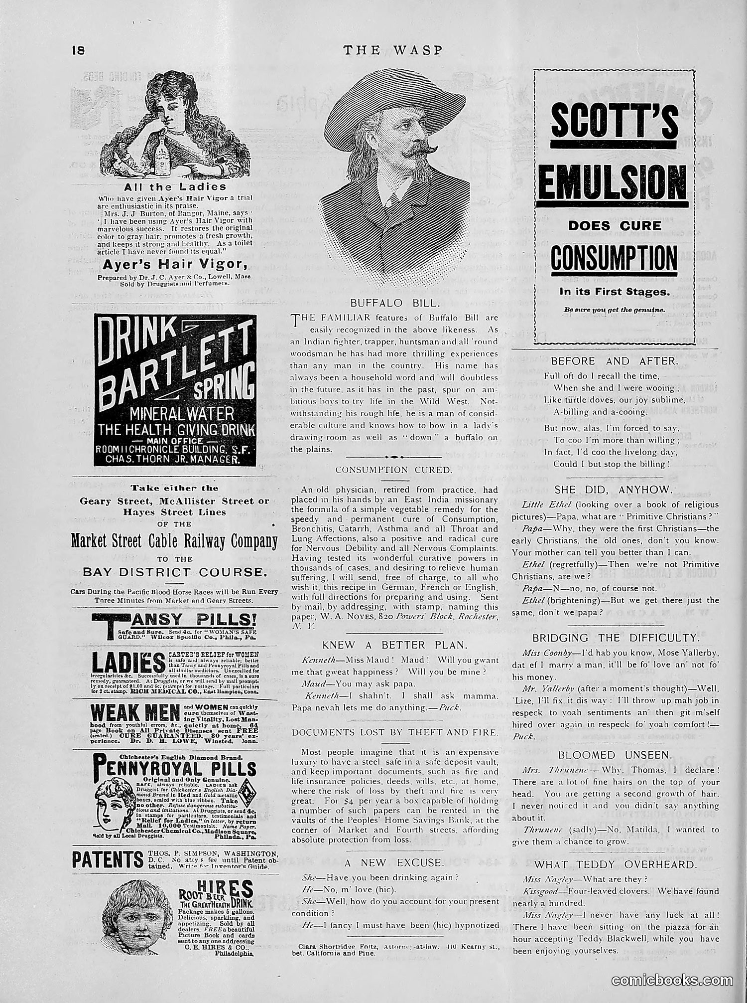 The Wasp — 1891 — page 407 of 612