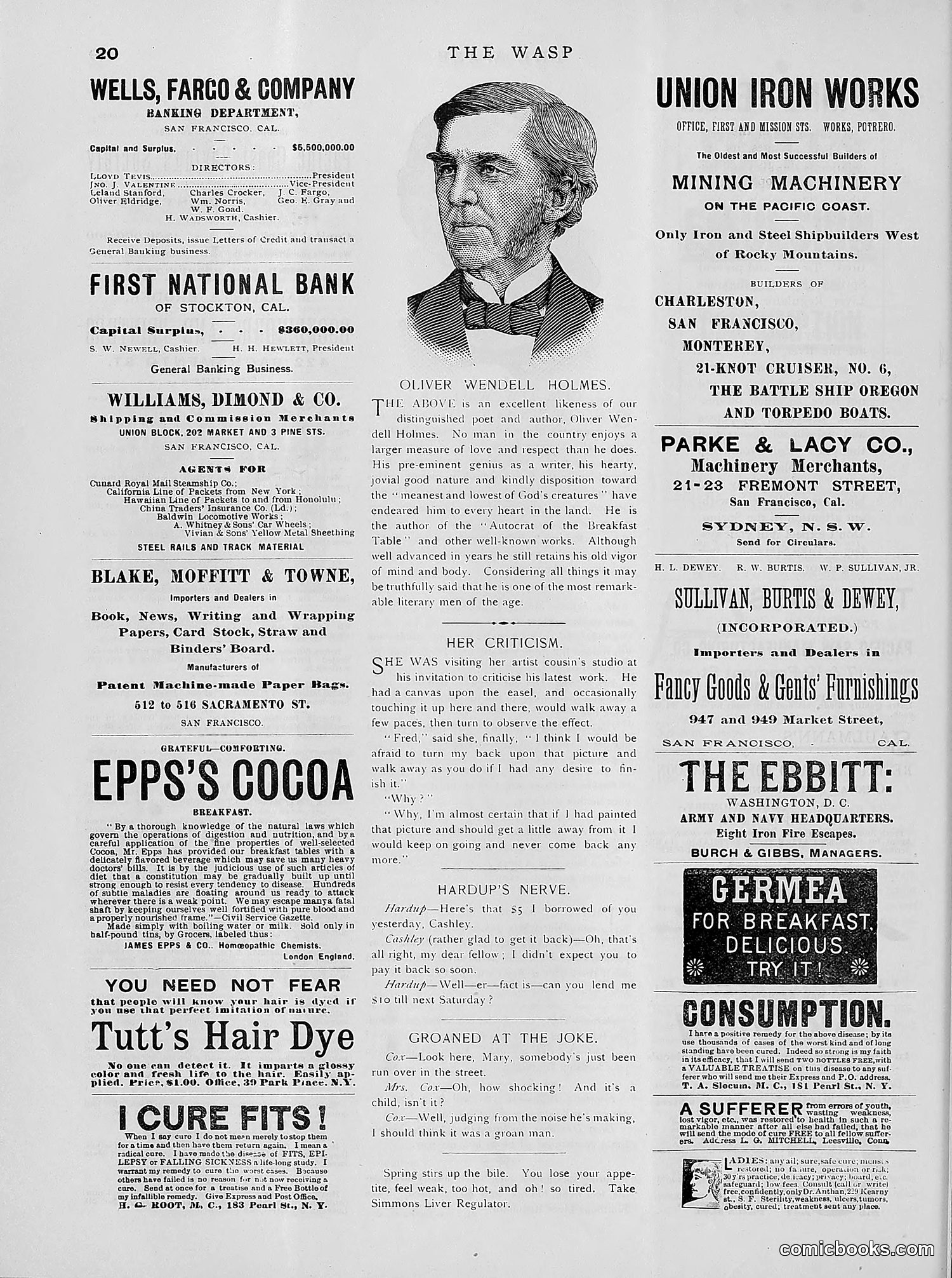 The Wasp — 1891 — page 409 of 612
