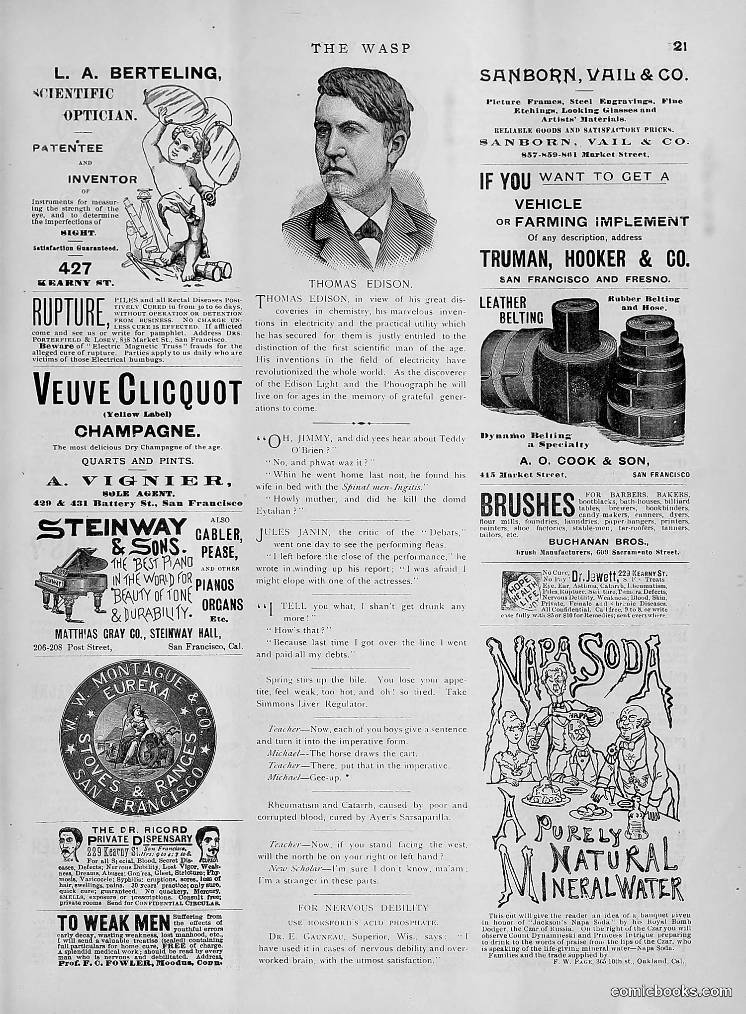 The Wasp — 1891 — page 410 of 612