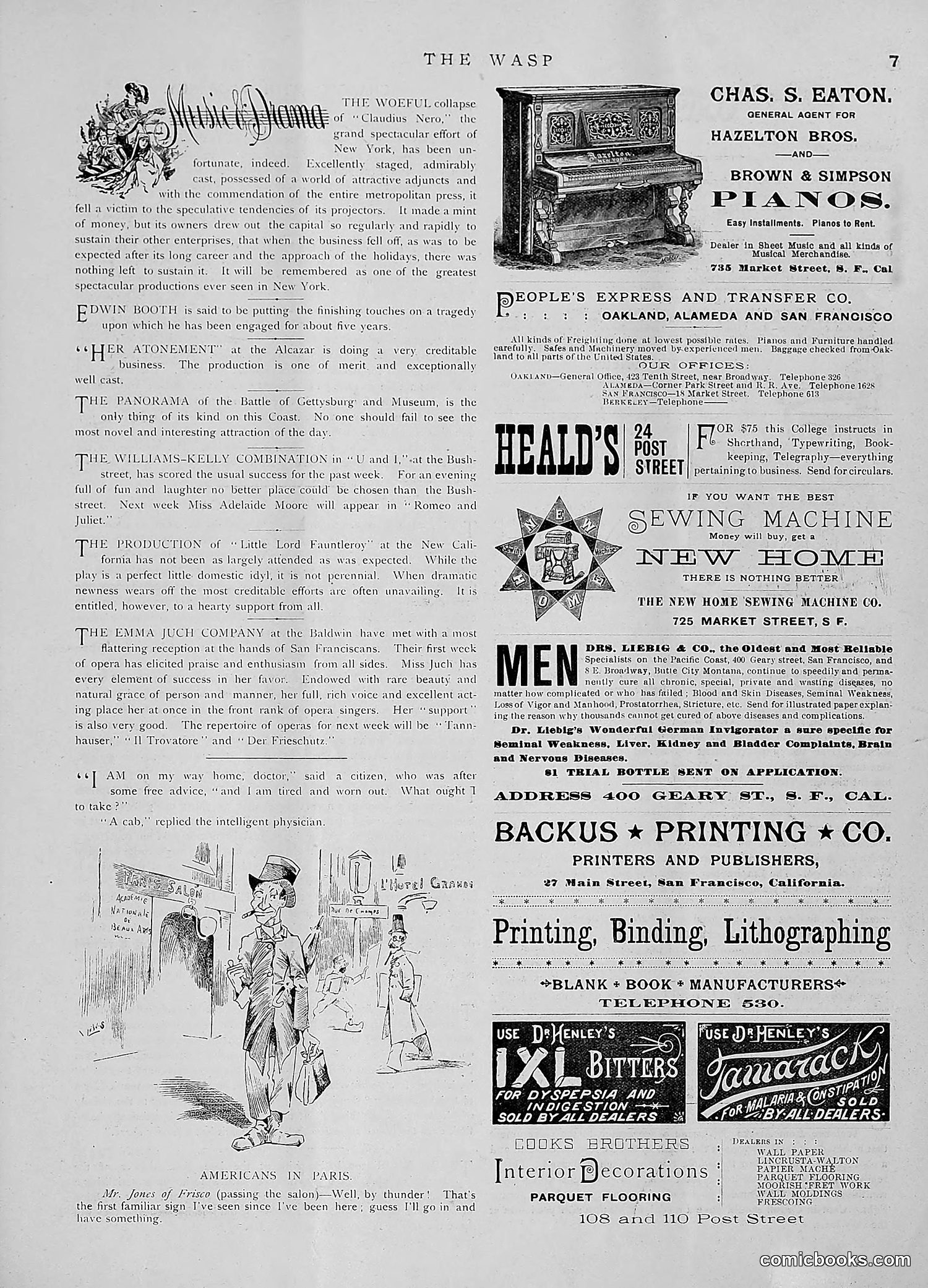 The Wasp — 1891 — page 42 of 612