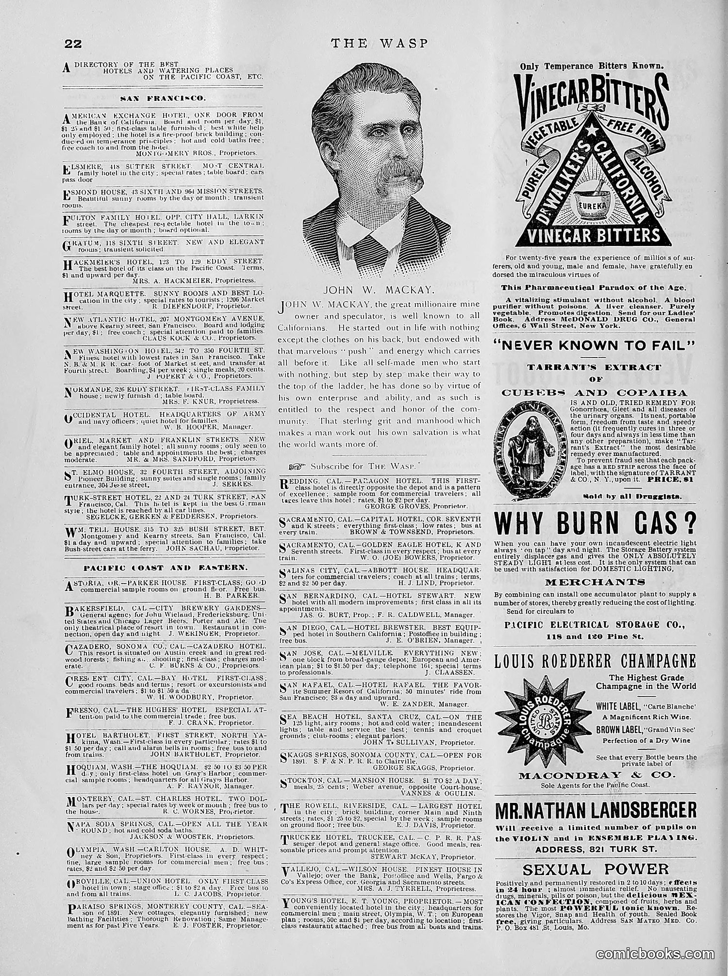 The Wasp — 1891 — page 411 of 612