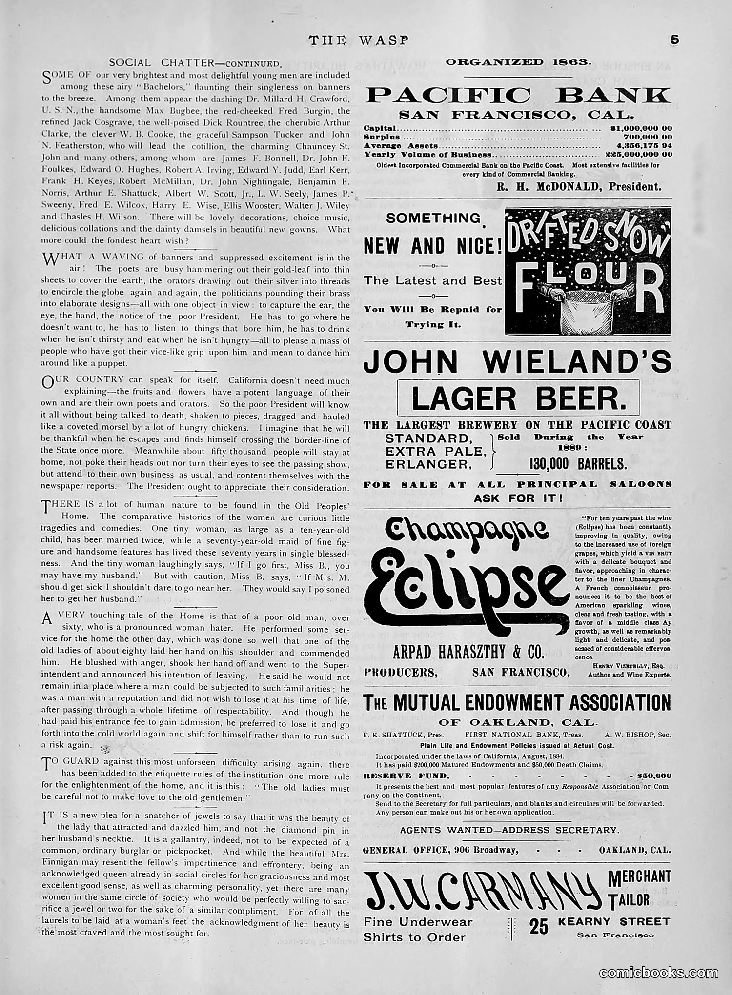 The Wasp — 1891 — page 418 of 612