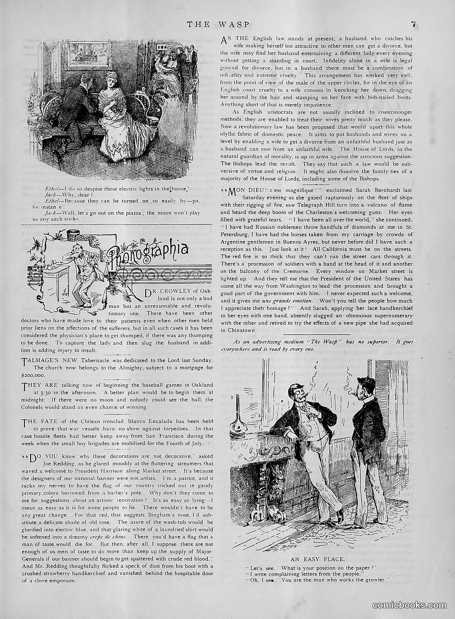 The Wasp — 1891 — page 420 of 612