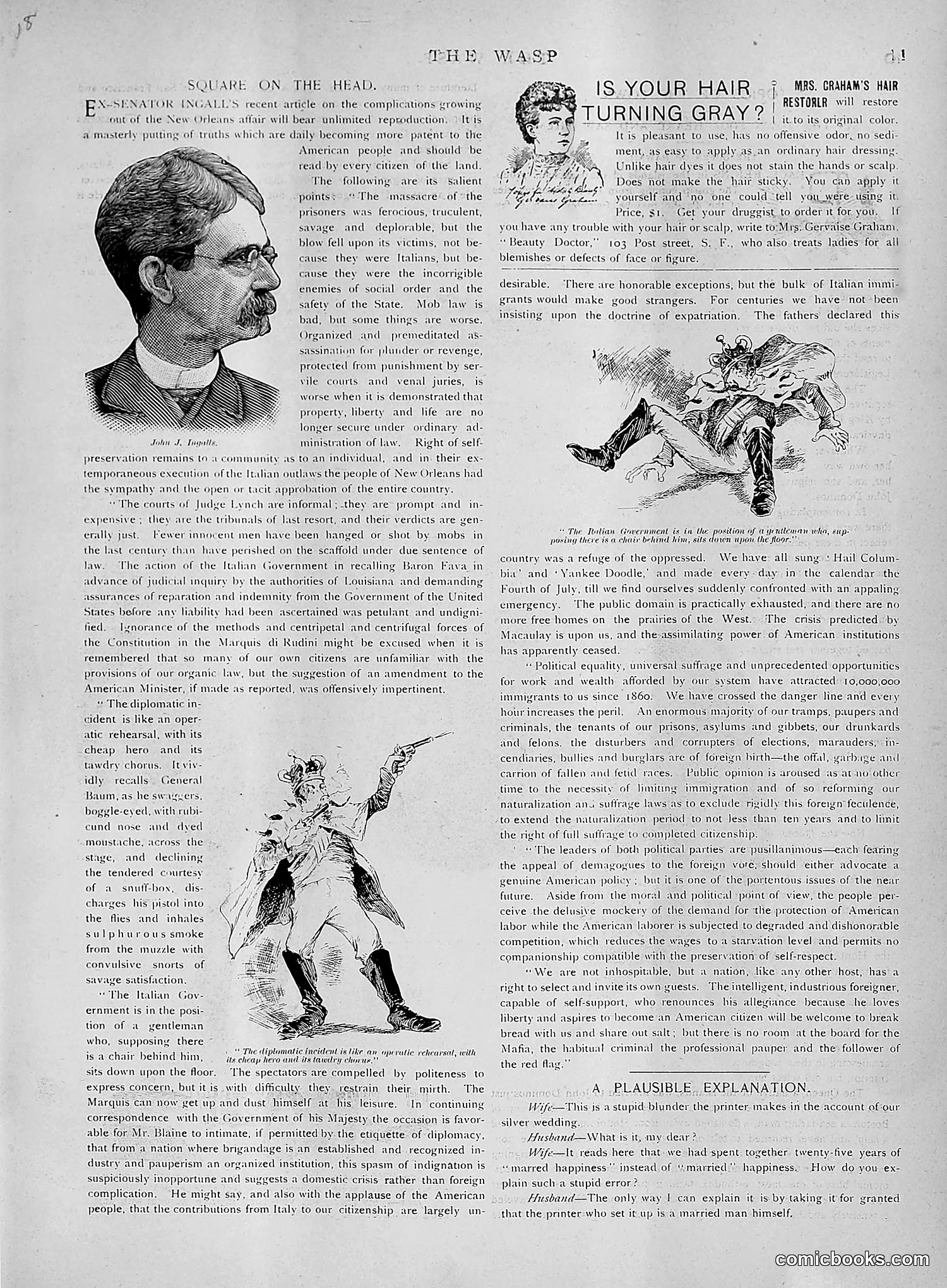 The Wasp — 1891 — page 424 of 612
