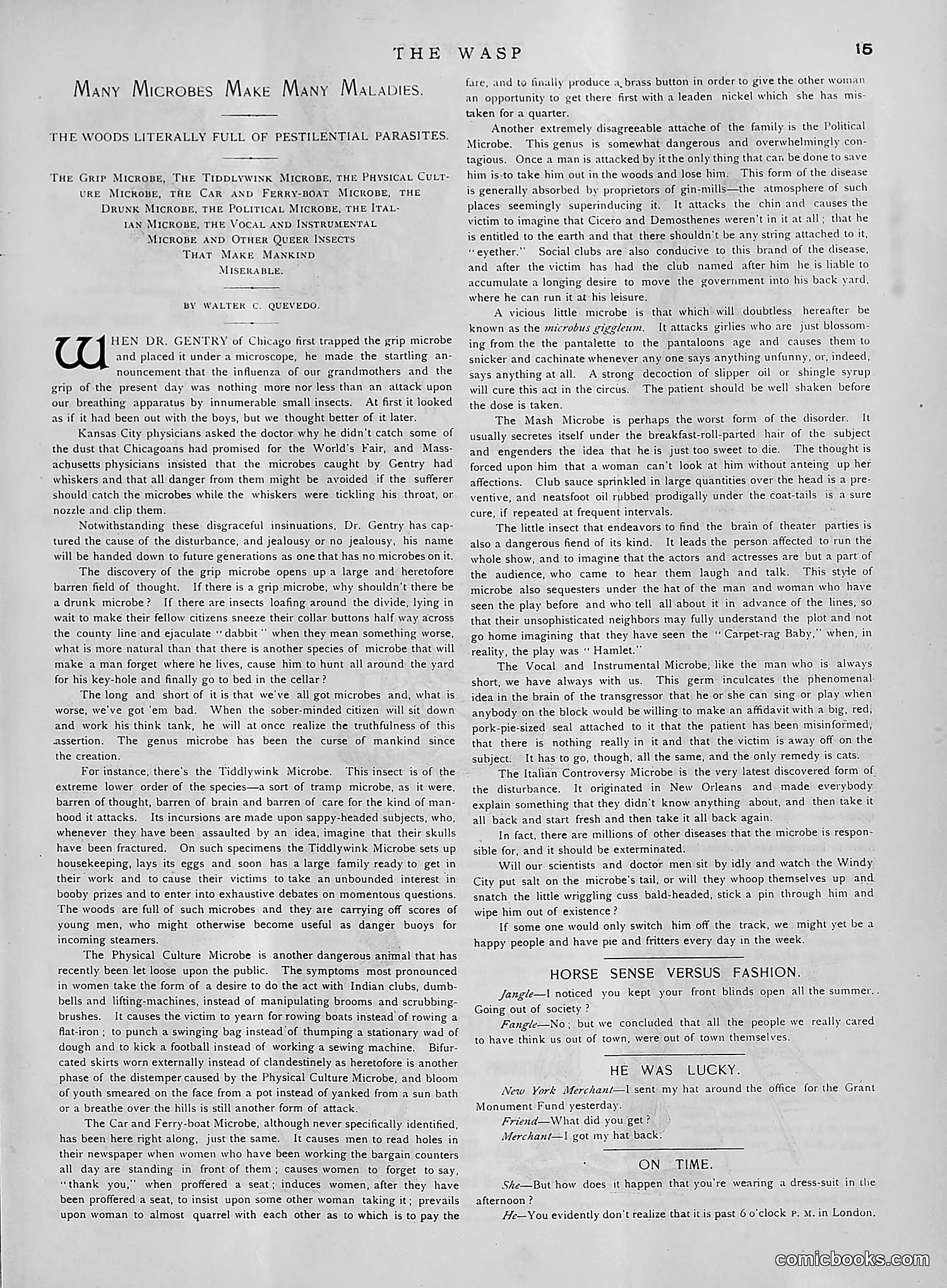 The Wasp — 1891 — page 428 of 612