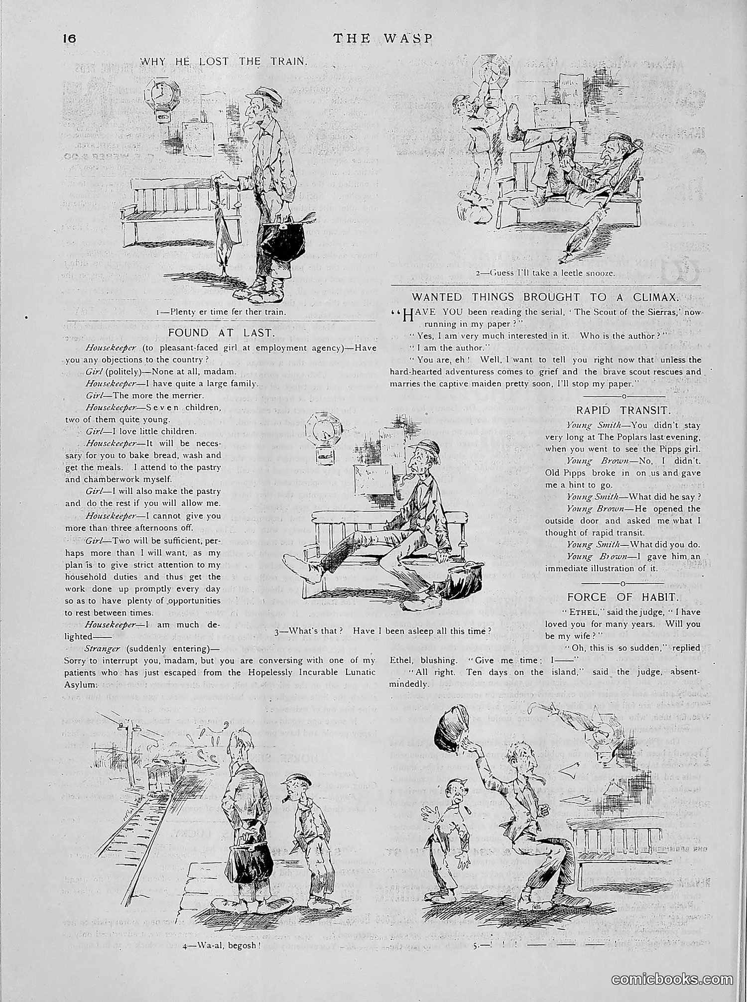 The Wasp — 1891 — page 429 of 612
