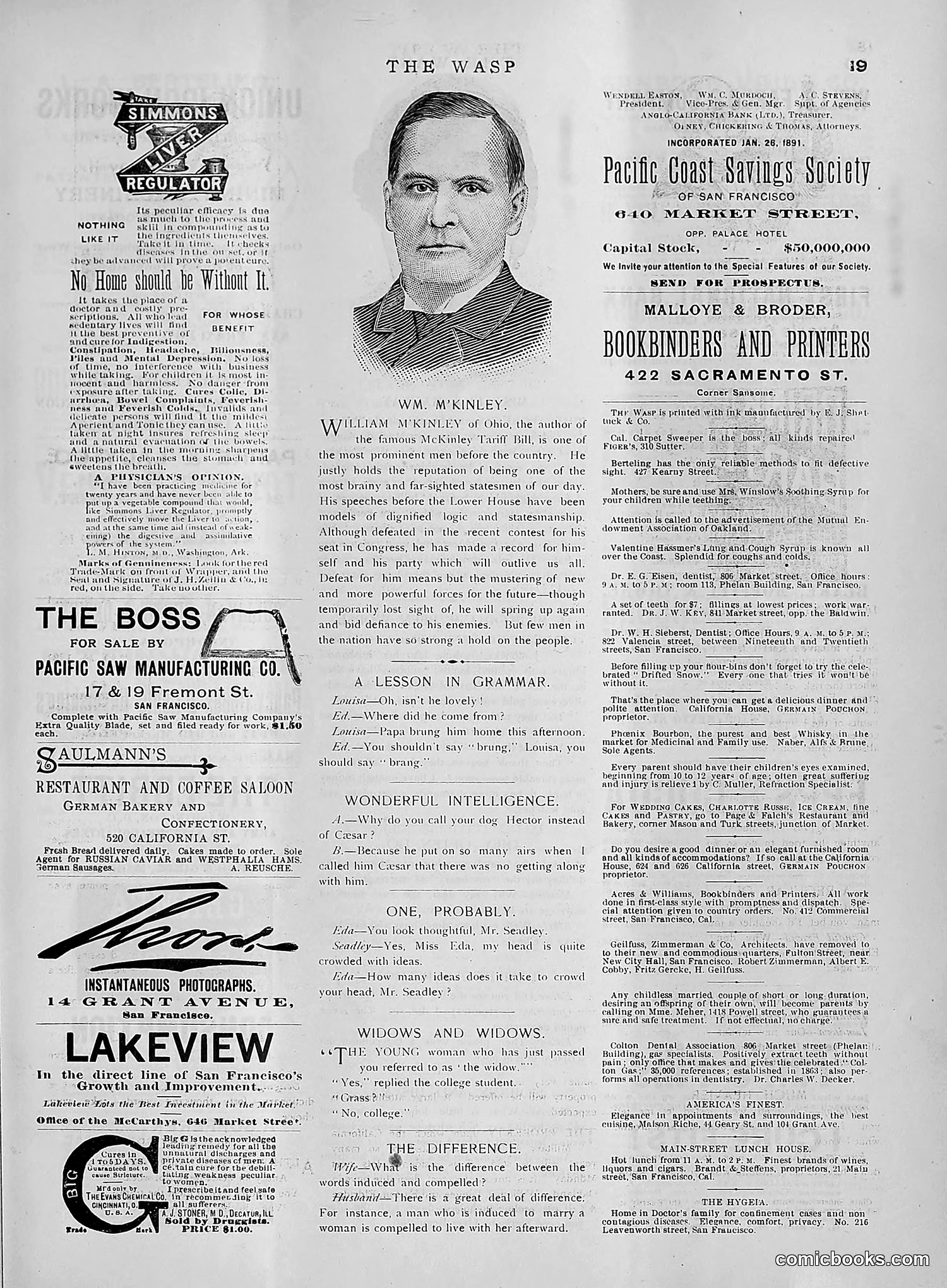 The Wasp — 1891 — page 432 of 612