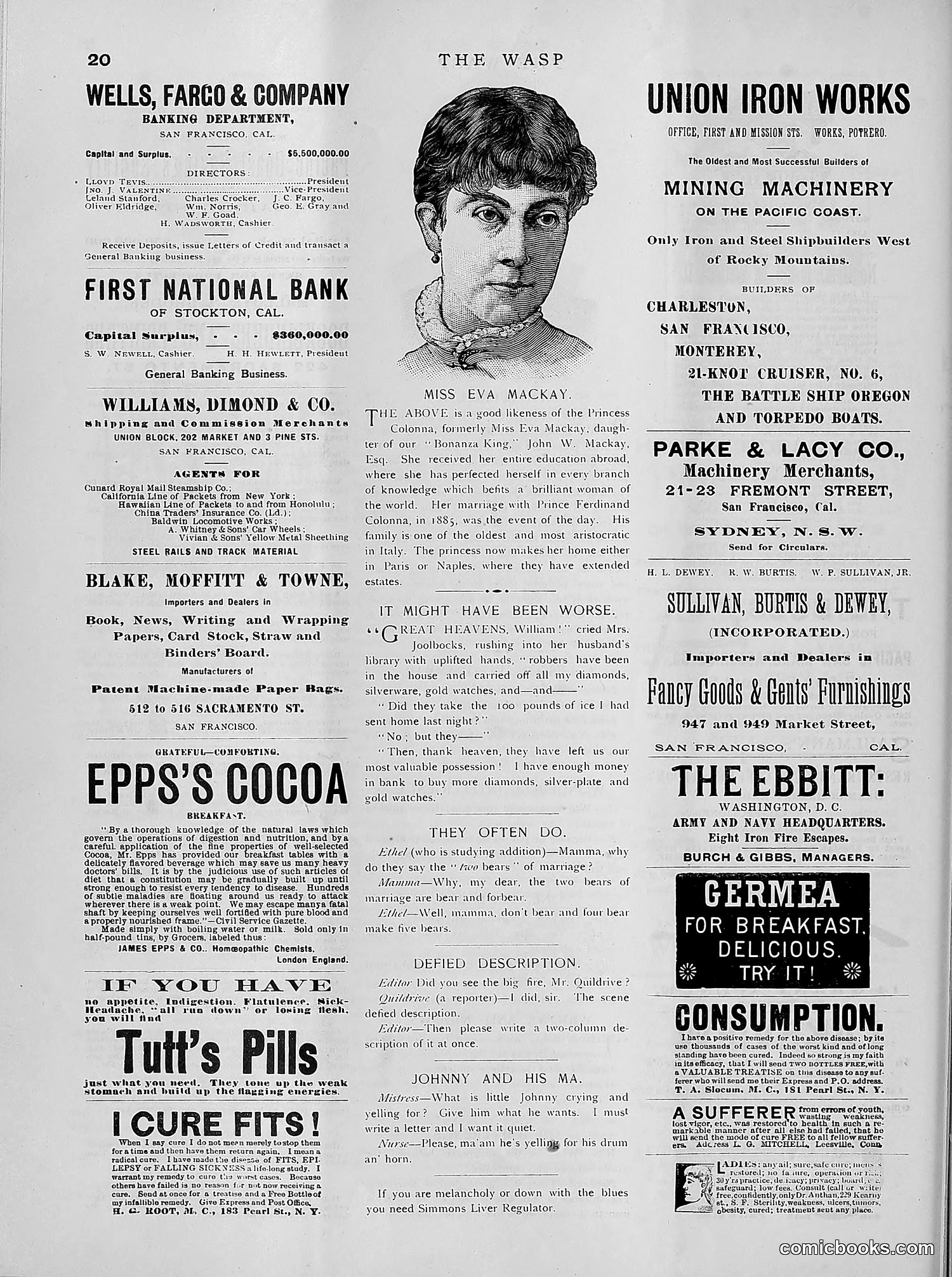The Wasp — 1891 — page 433 of 612