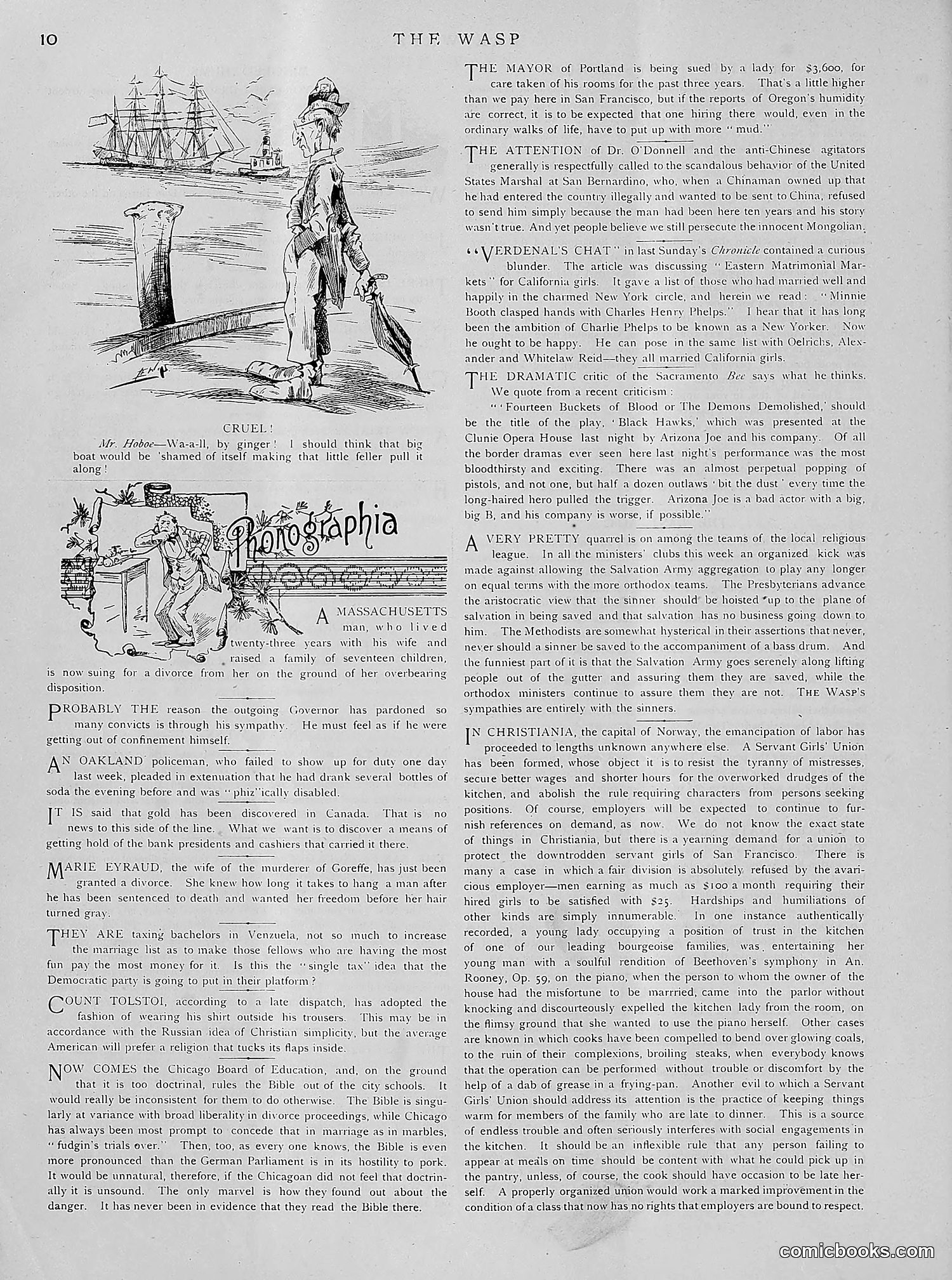 The Wasp — 1891 — page 45 of 612