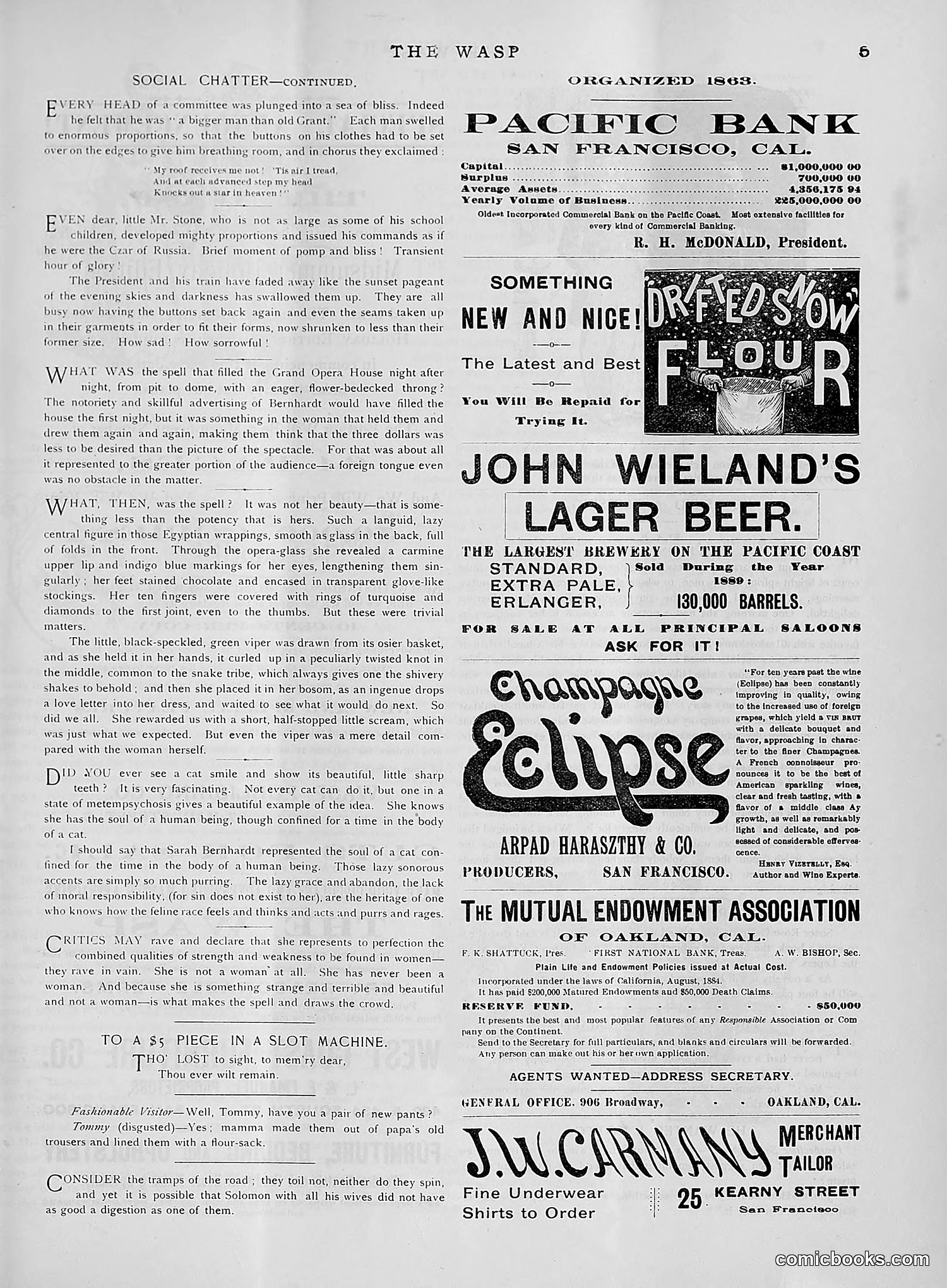 The Wasp — 1891 — page 442 of 612