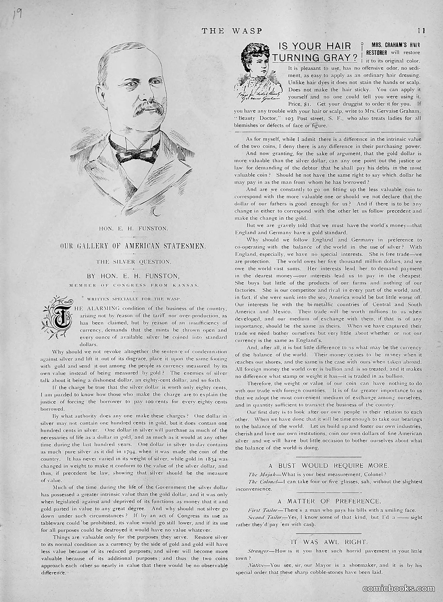 The Wasp — 1891 — page 448 of 612