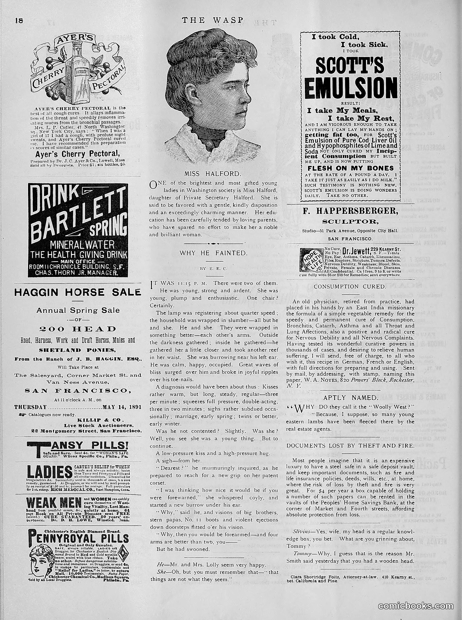 The Wasp — 1891 — page 455 of 612