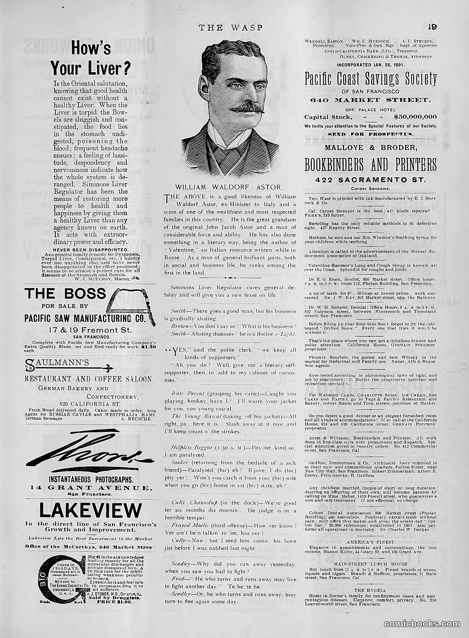The Wasp — 1891 — page 456 of 612