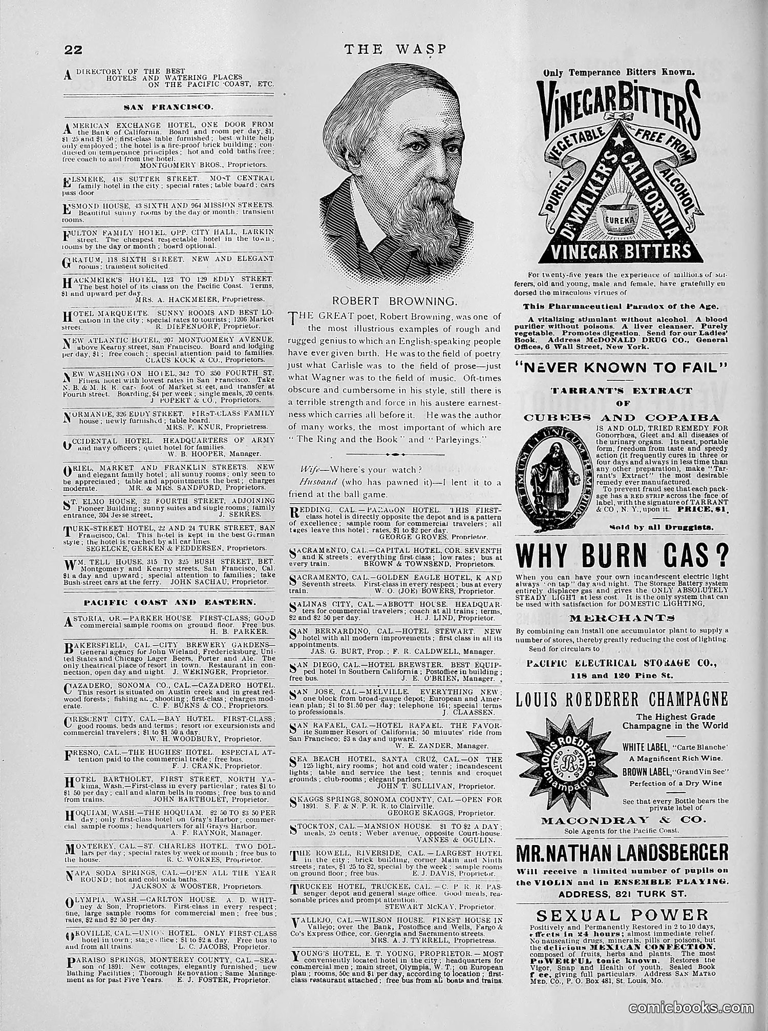 The Wasp — 1891 — page 459 of 612