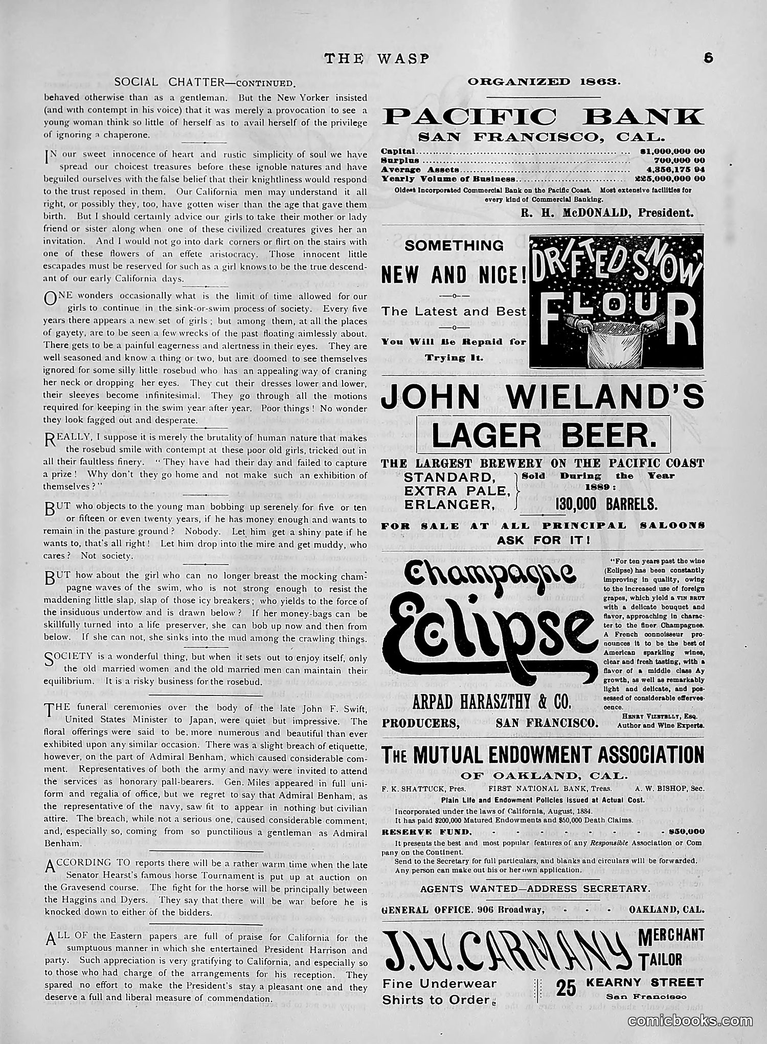 The Wasp — 1891 — page 468 of 612