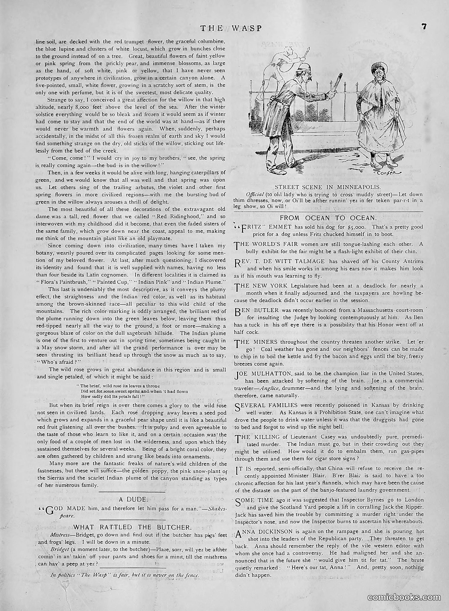 The Wasp — 1891 — page 470 of 612
