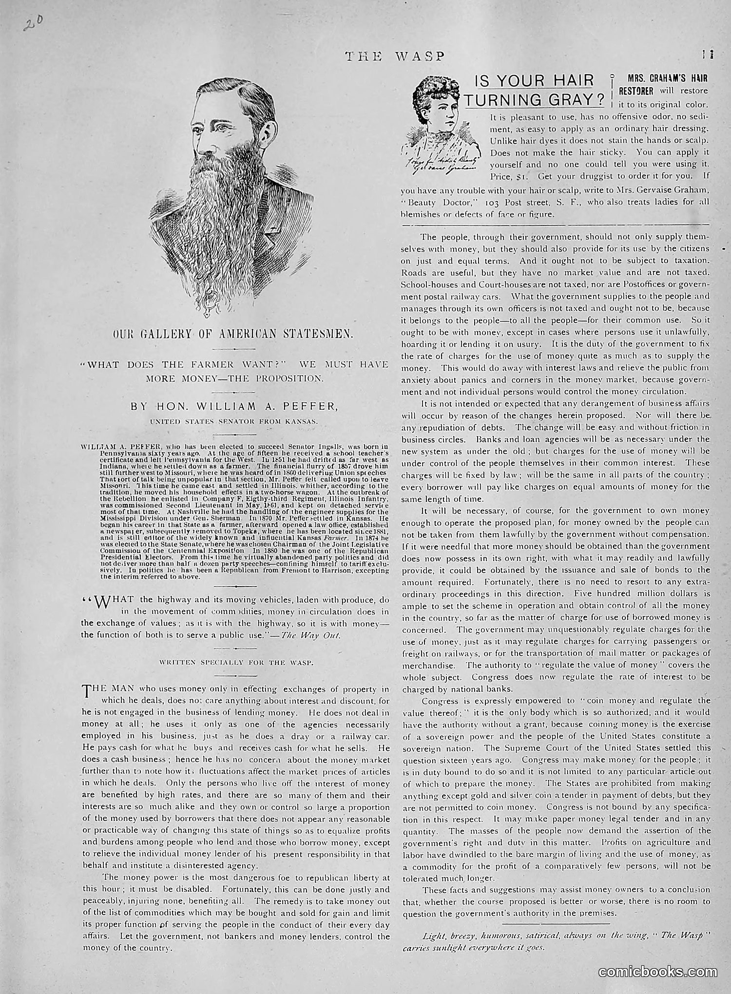 The Wasp — 1891 — page 474 of 612
