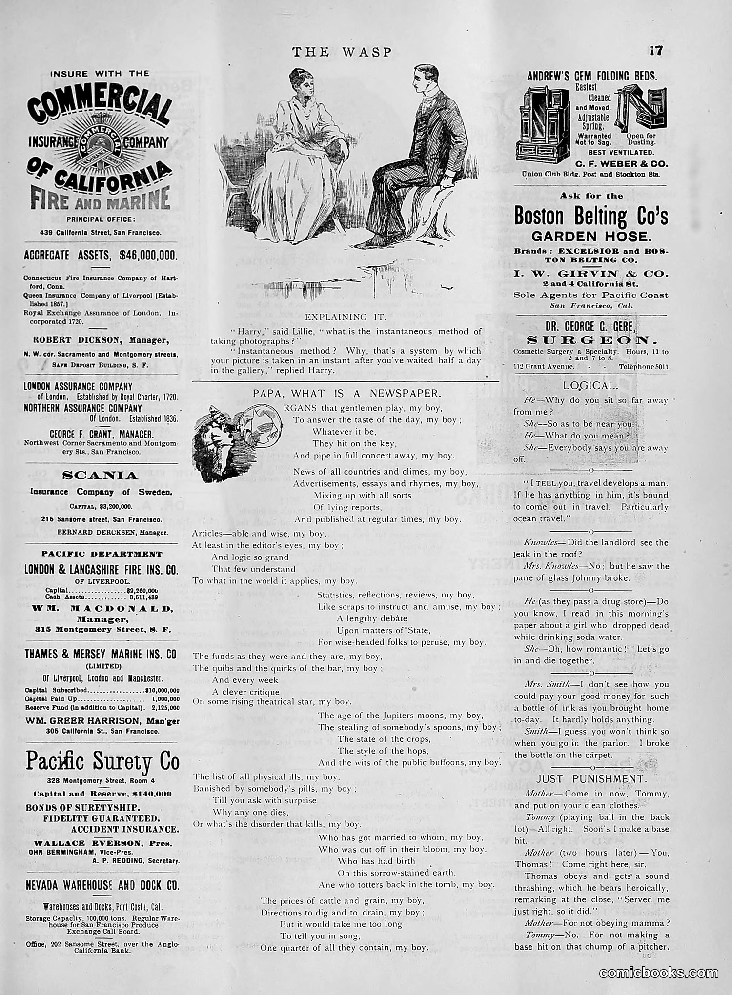The Wasp — 1891 — page 480 of 612