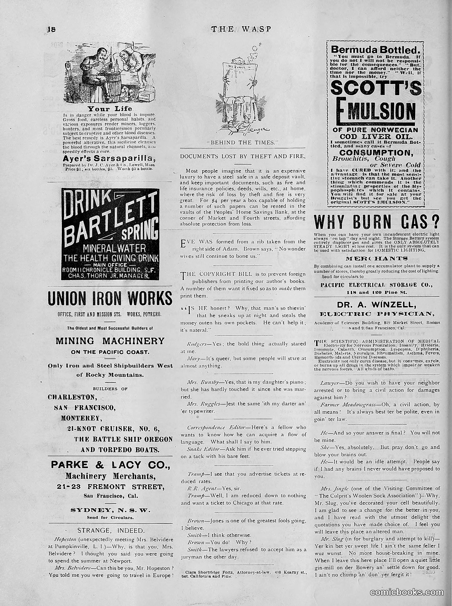 The Wasp — 1891 — page 481 of 612