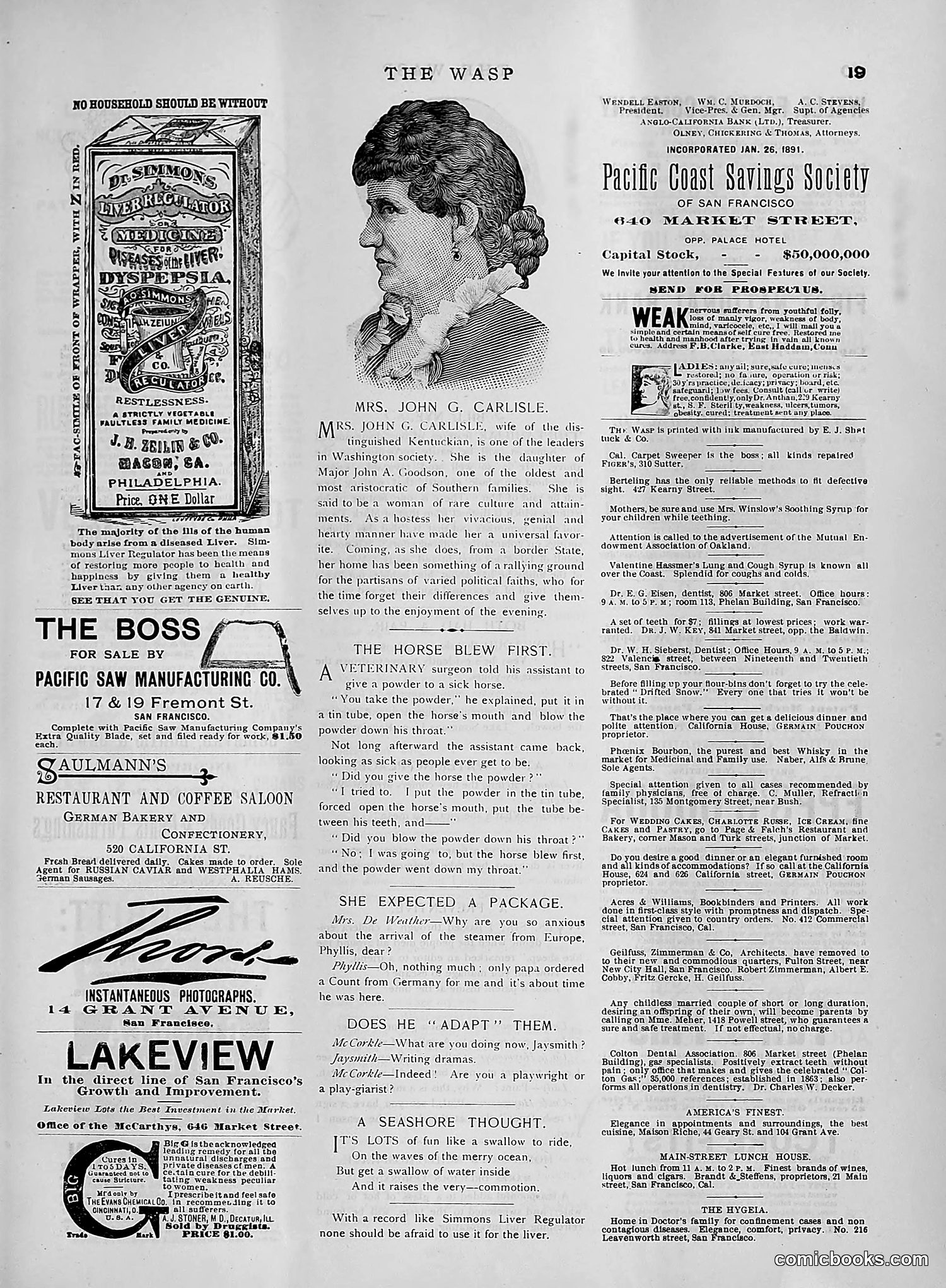 The Wasp — 1891 — page 482 of 612