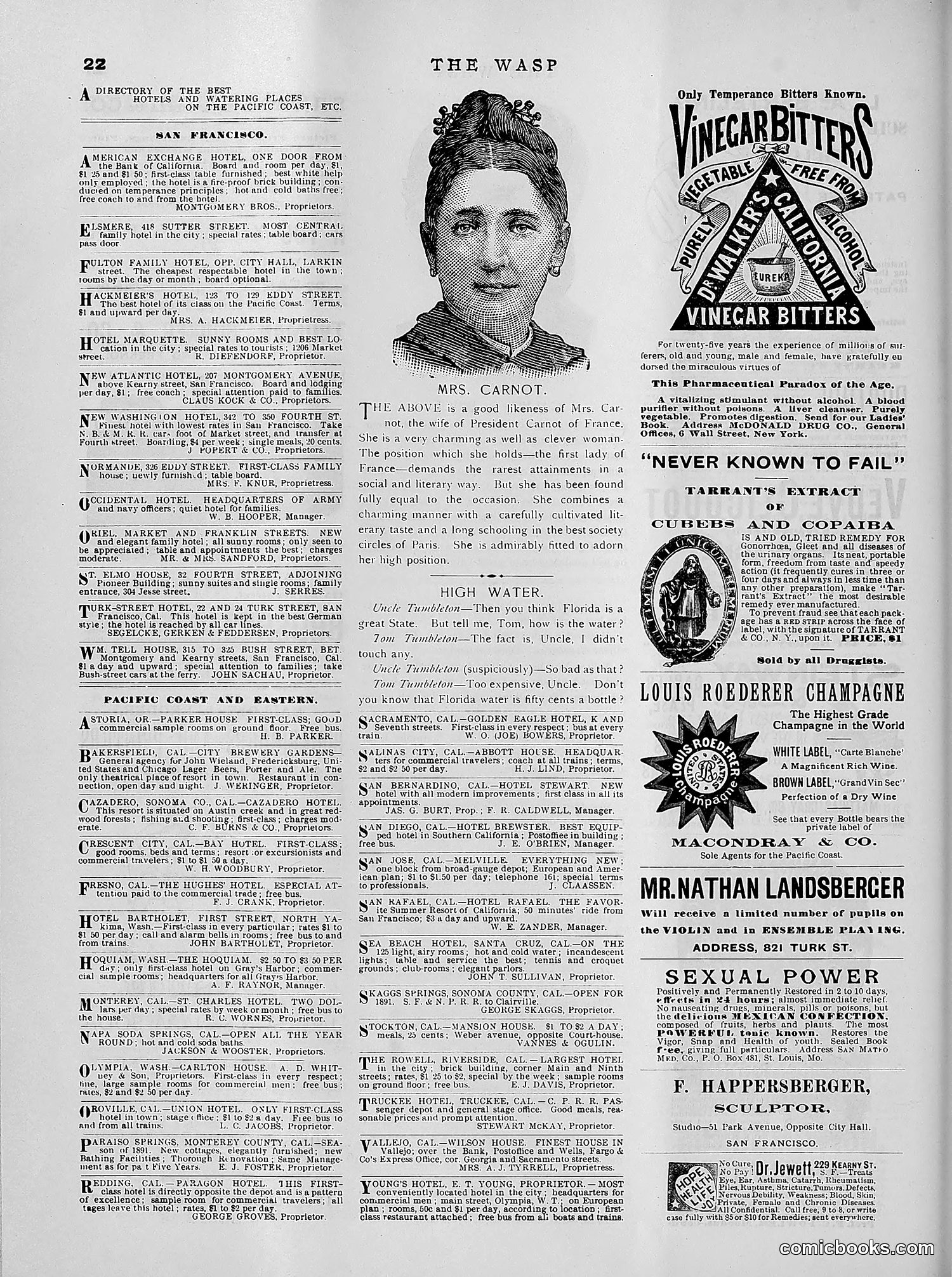 The Wasp — 1891 — page 485 of 612