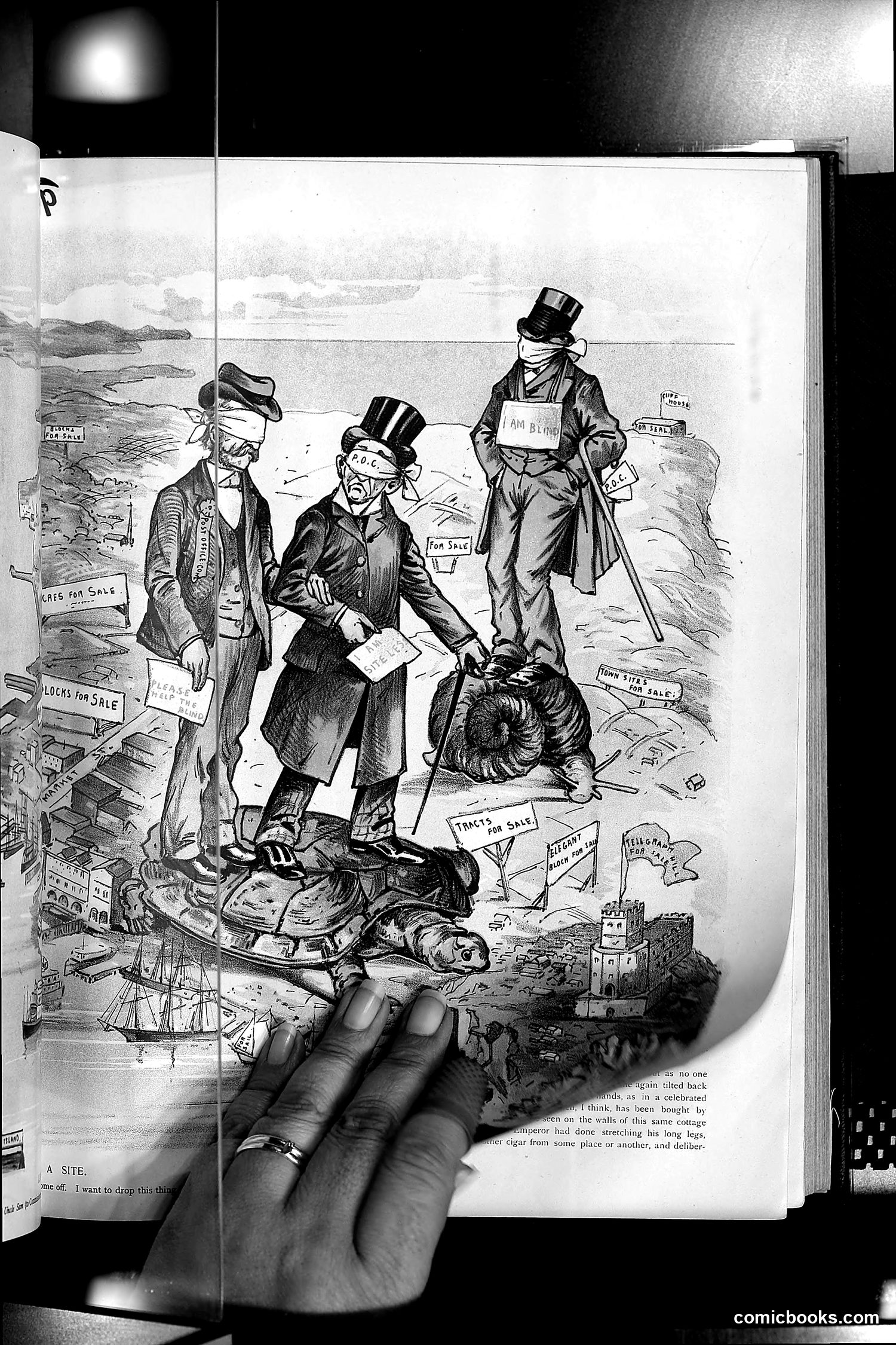 The Wasp — 1891 — page 50 of 612