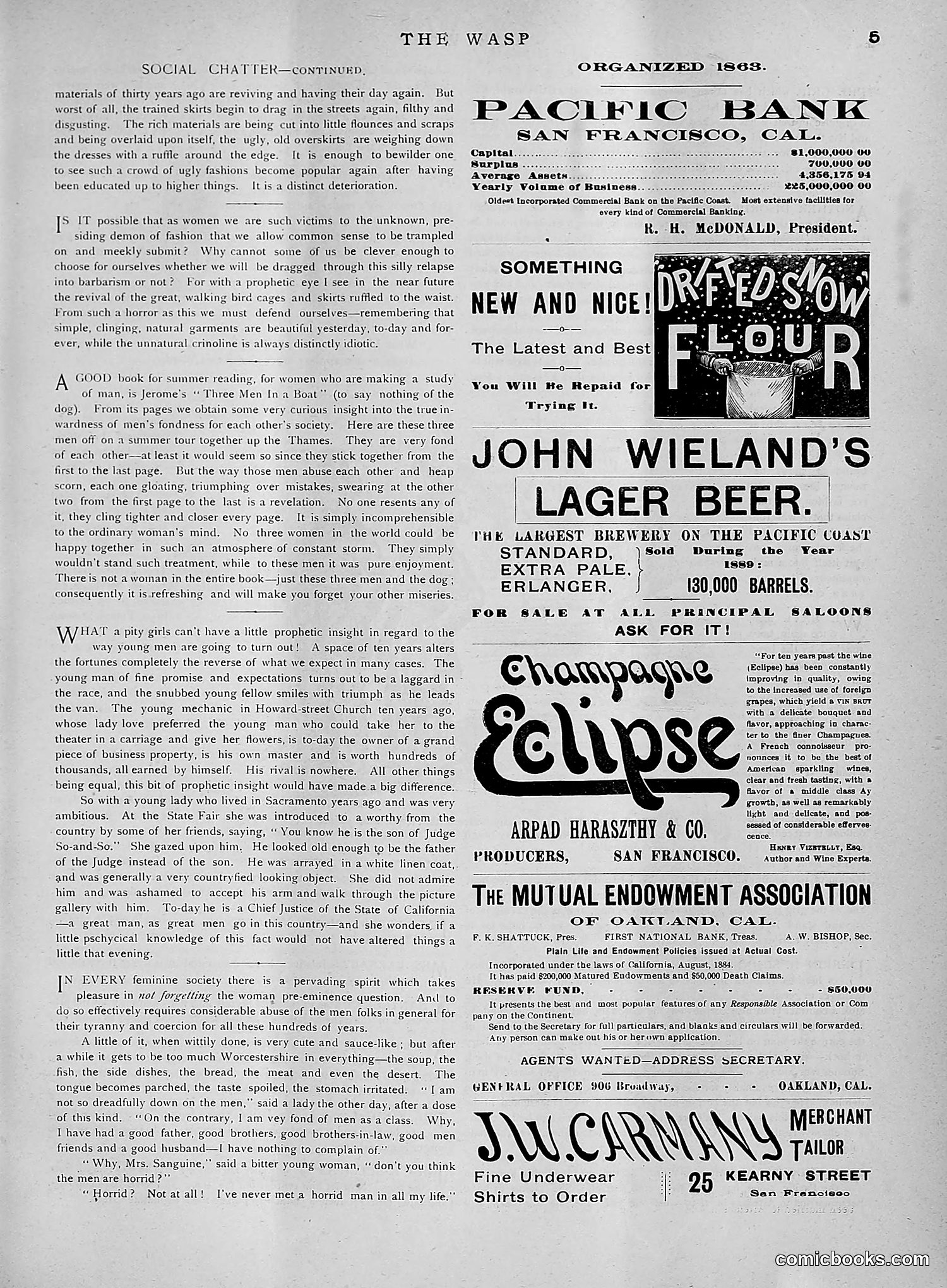The Wasp — 1891 — page 492 of 612