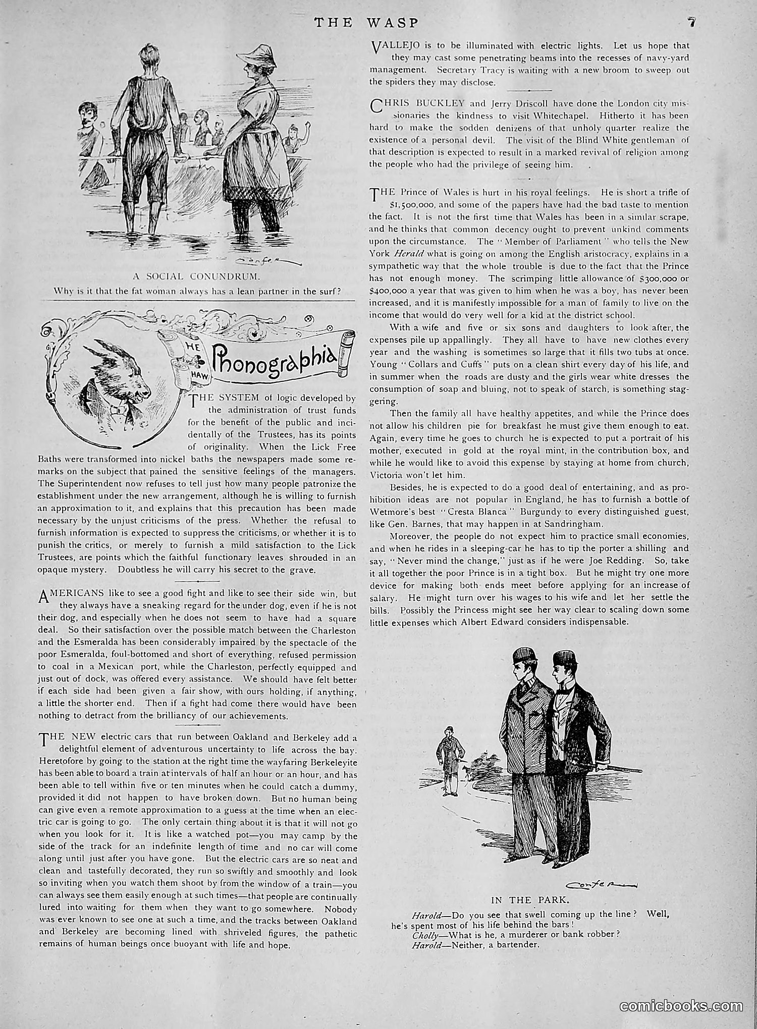 The Wasp — 1891 — page 494 of 612