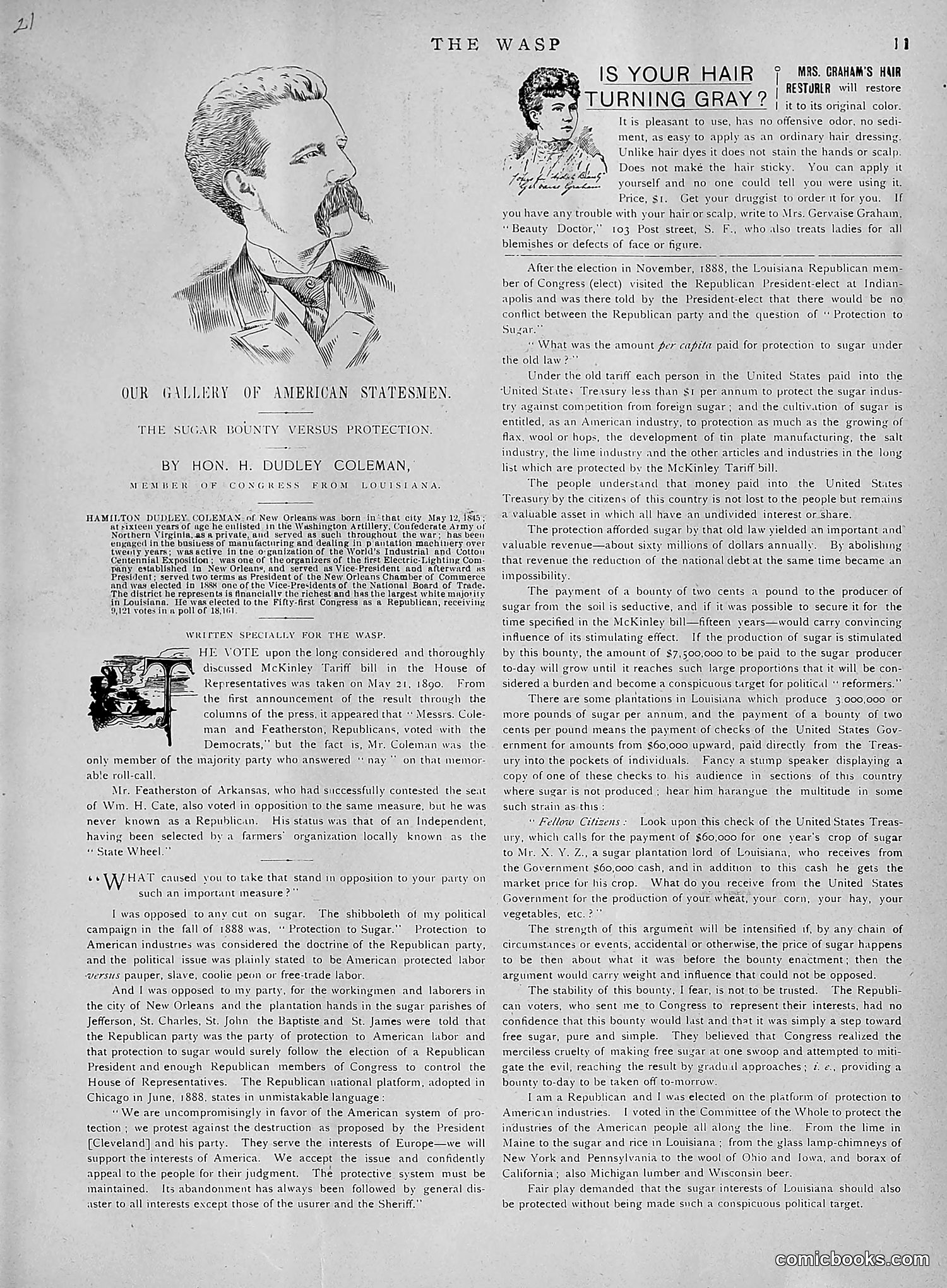 The Wasp — 1891 — page 498 of 612