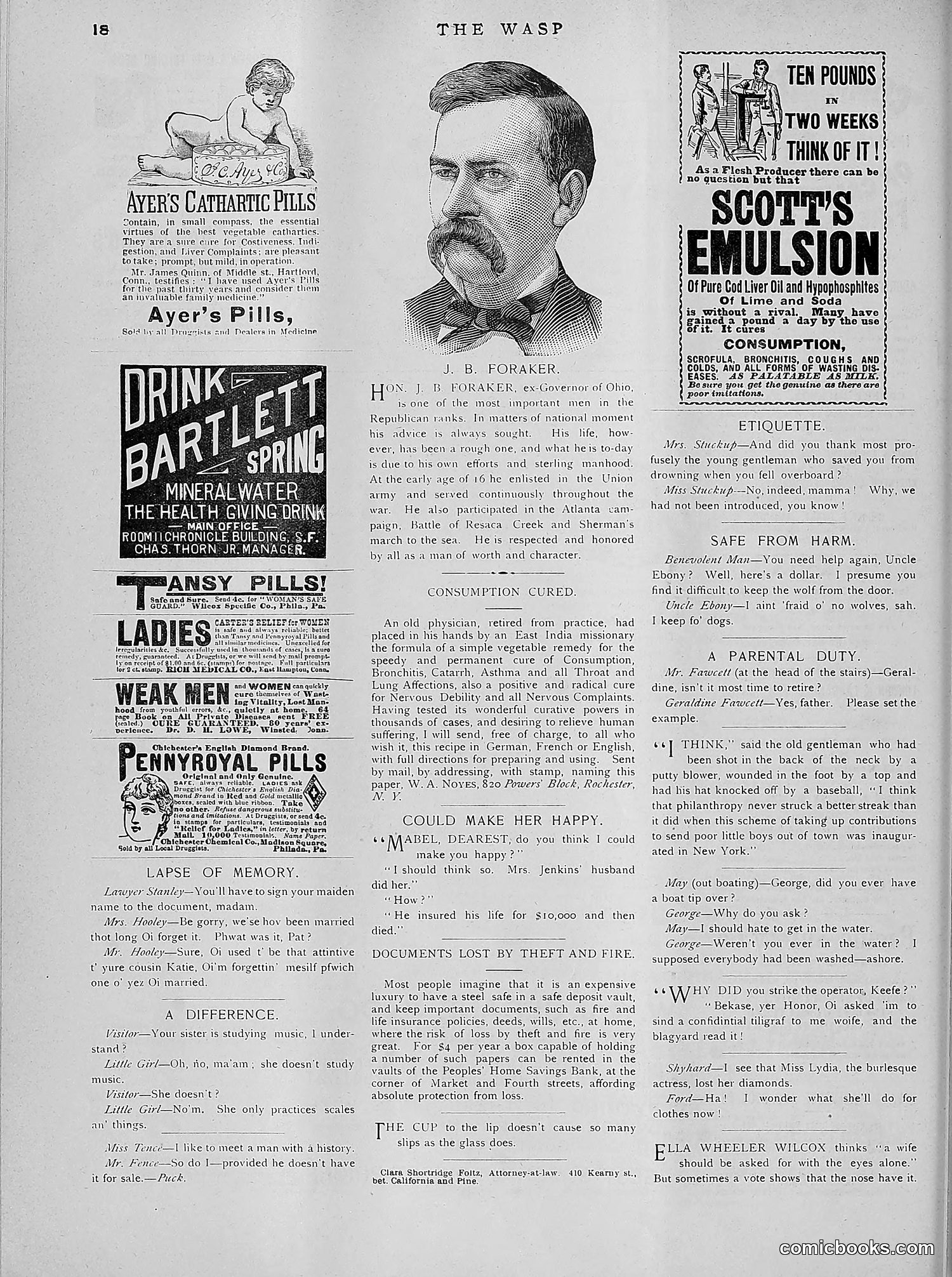 The Wasp — 1891 — page 505 of 612