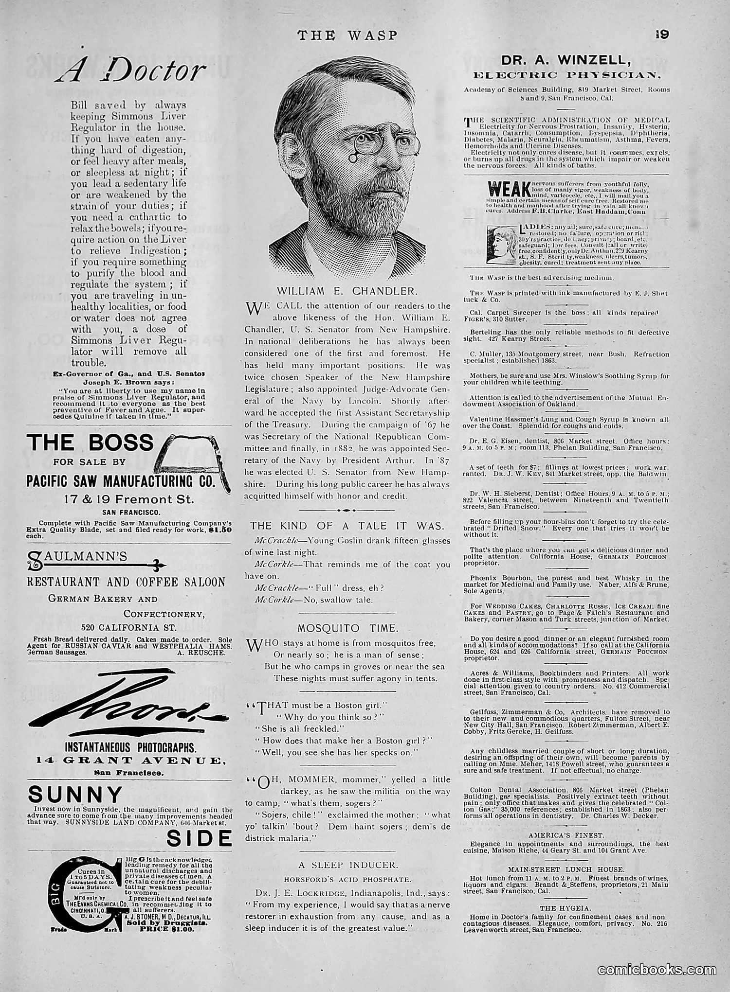 The Wasp — 1891 — page 506 of 612