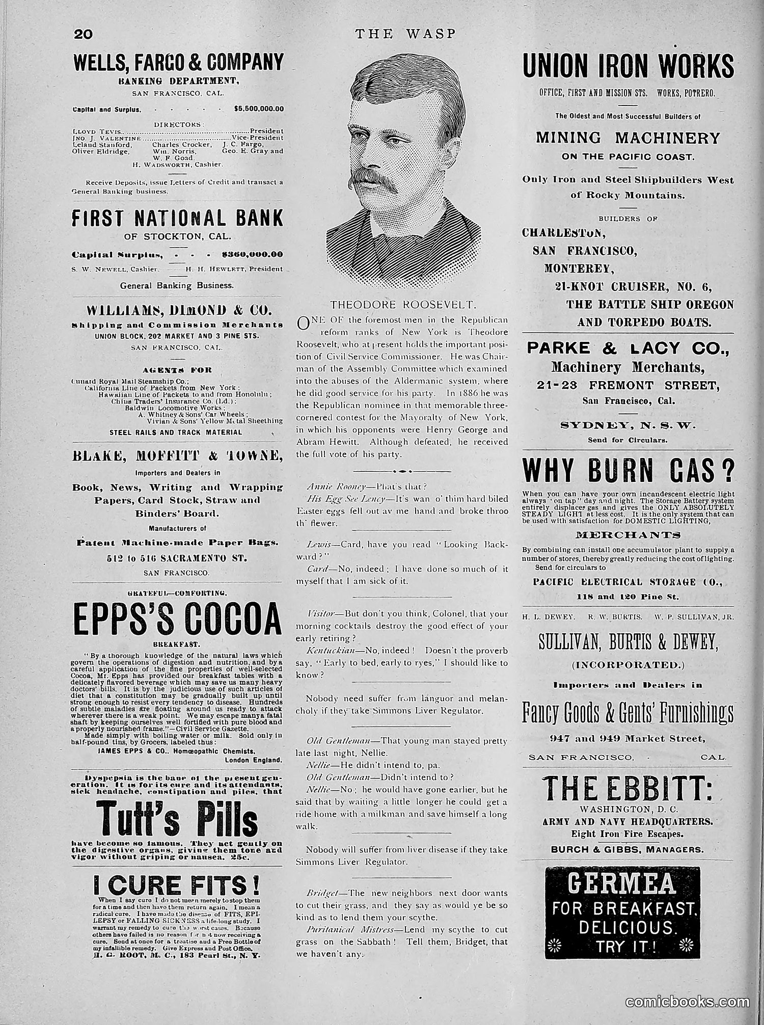 The Wasp — 1891 — page 507 of 612