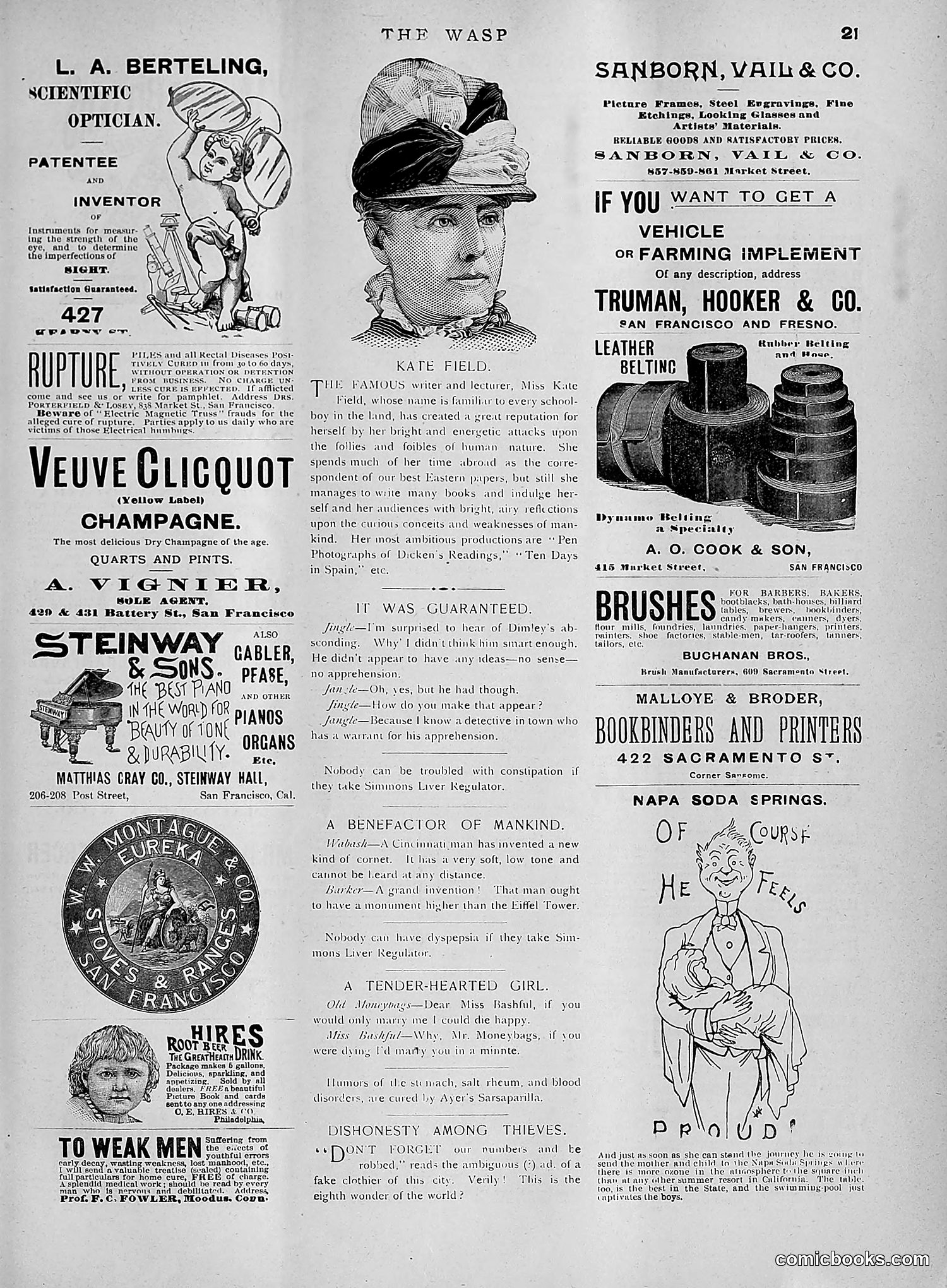 The Wasp — 1891 — page 508 of 612