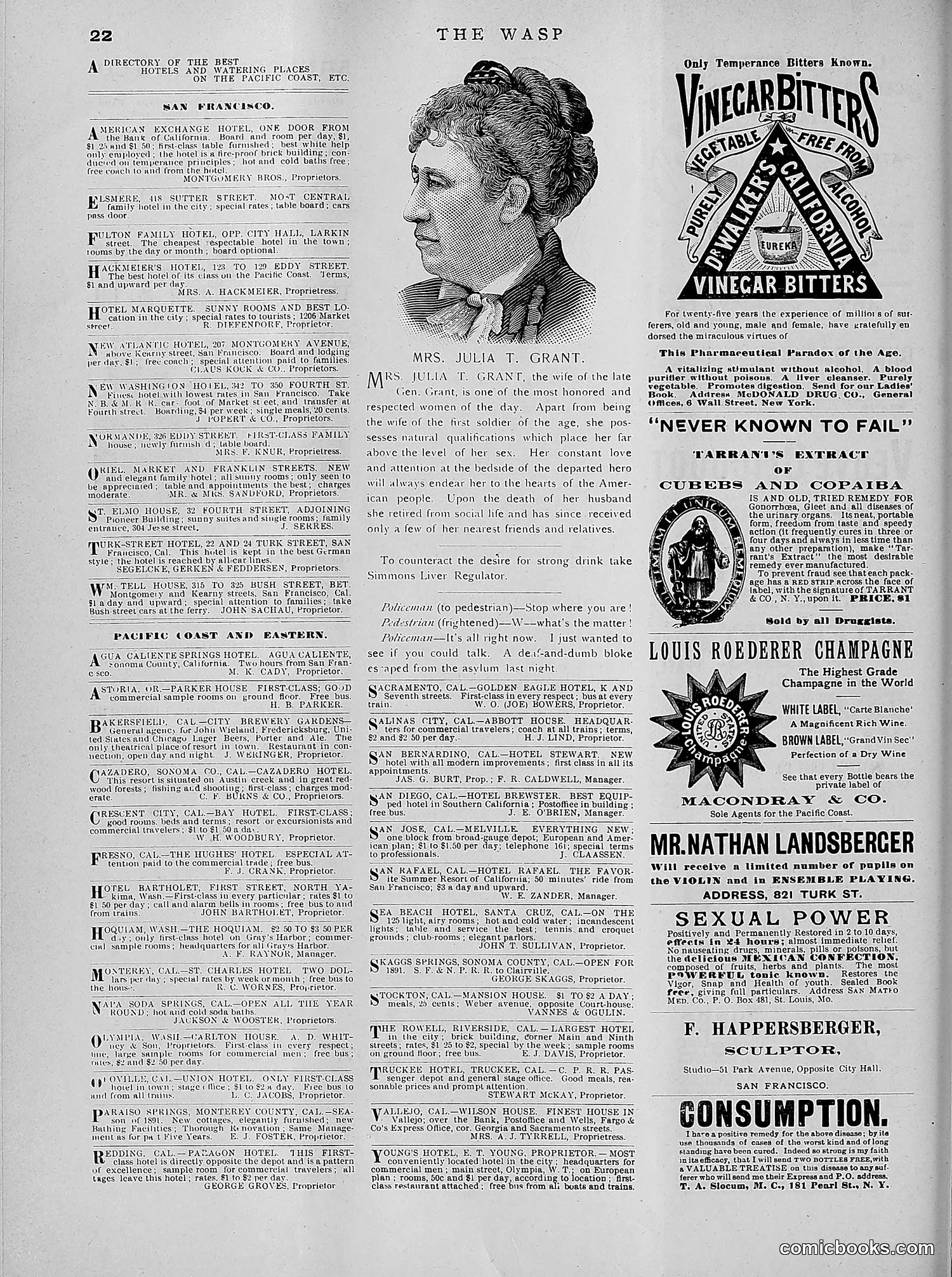 The Wasp — 1891 — page 509 of 612