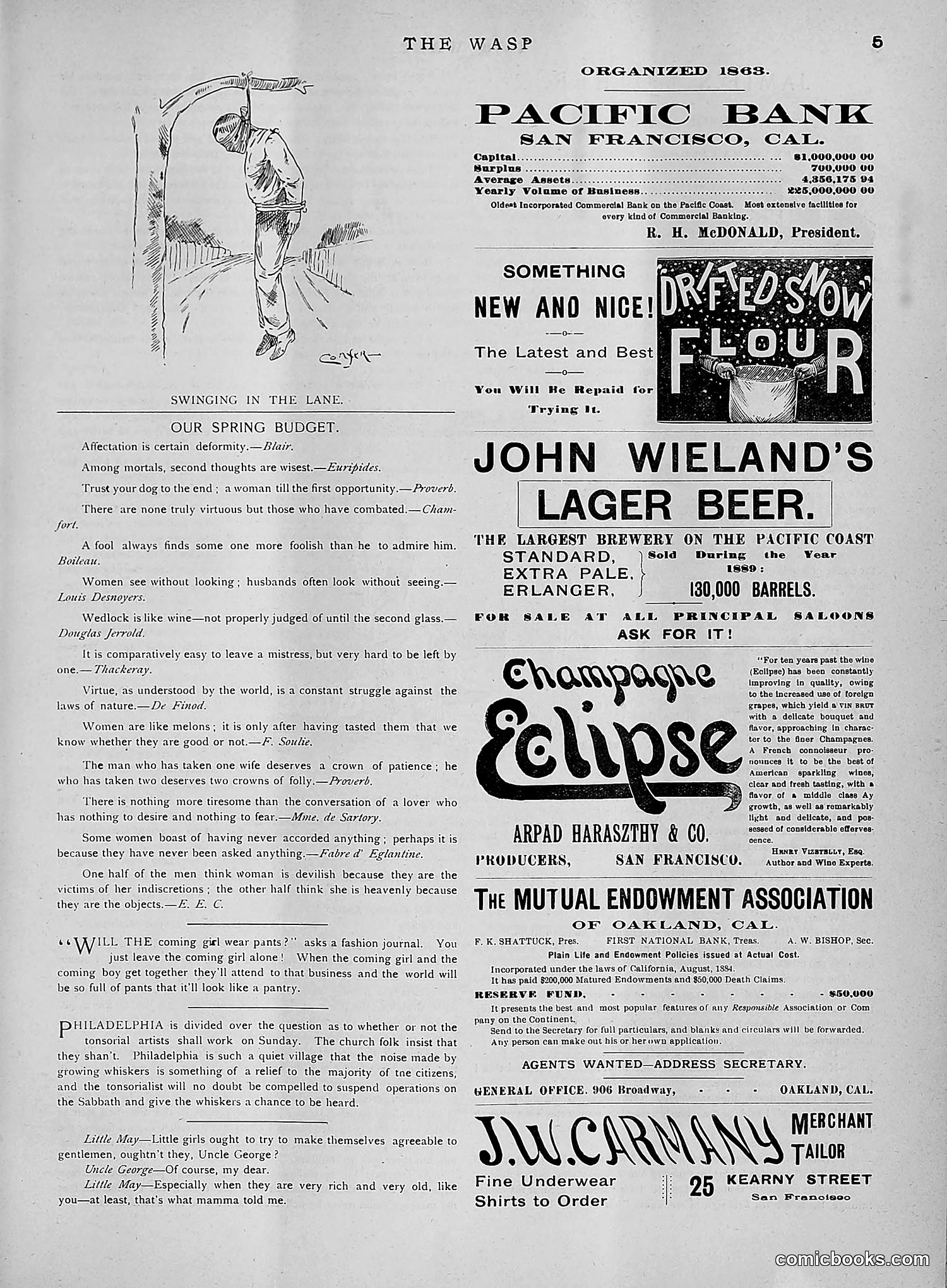 The Wasp — 1891 — page 516 of 612