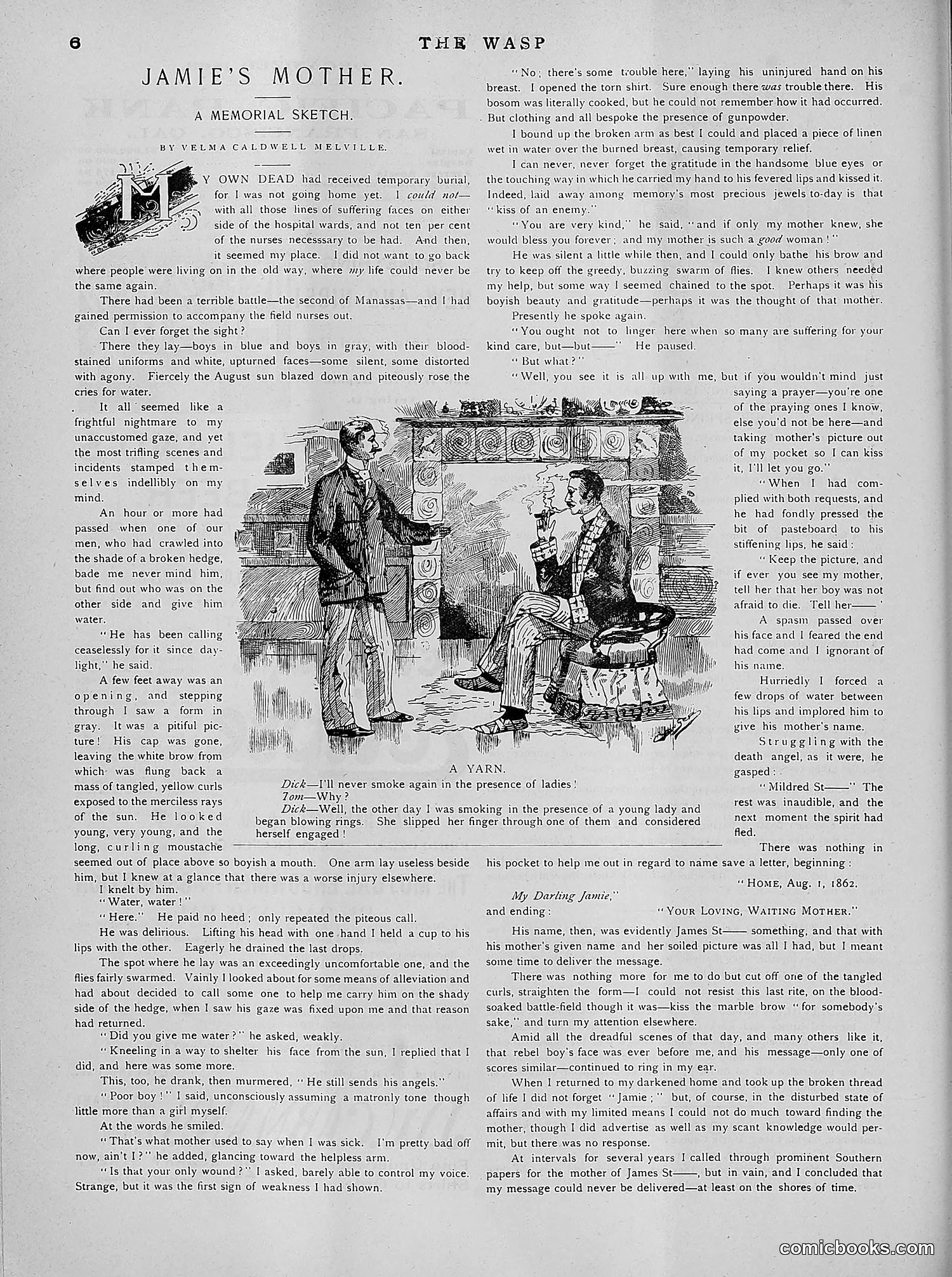 The Wasp — 1891 — page 517 of 612