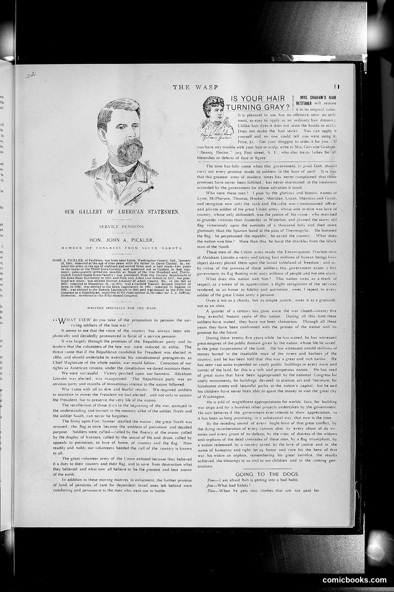 The Wasp — 1891 — page 522 of 612