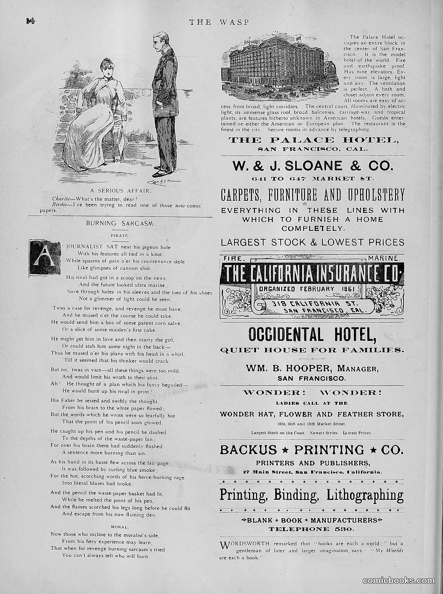 The Wasp — 1891 — page 529 of 612